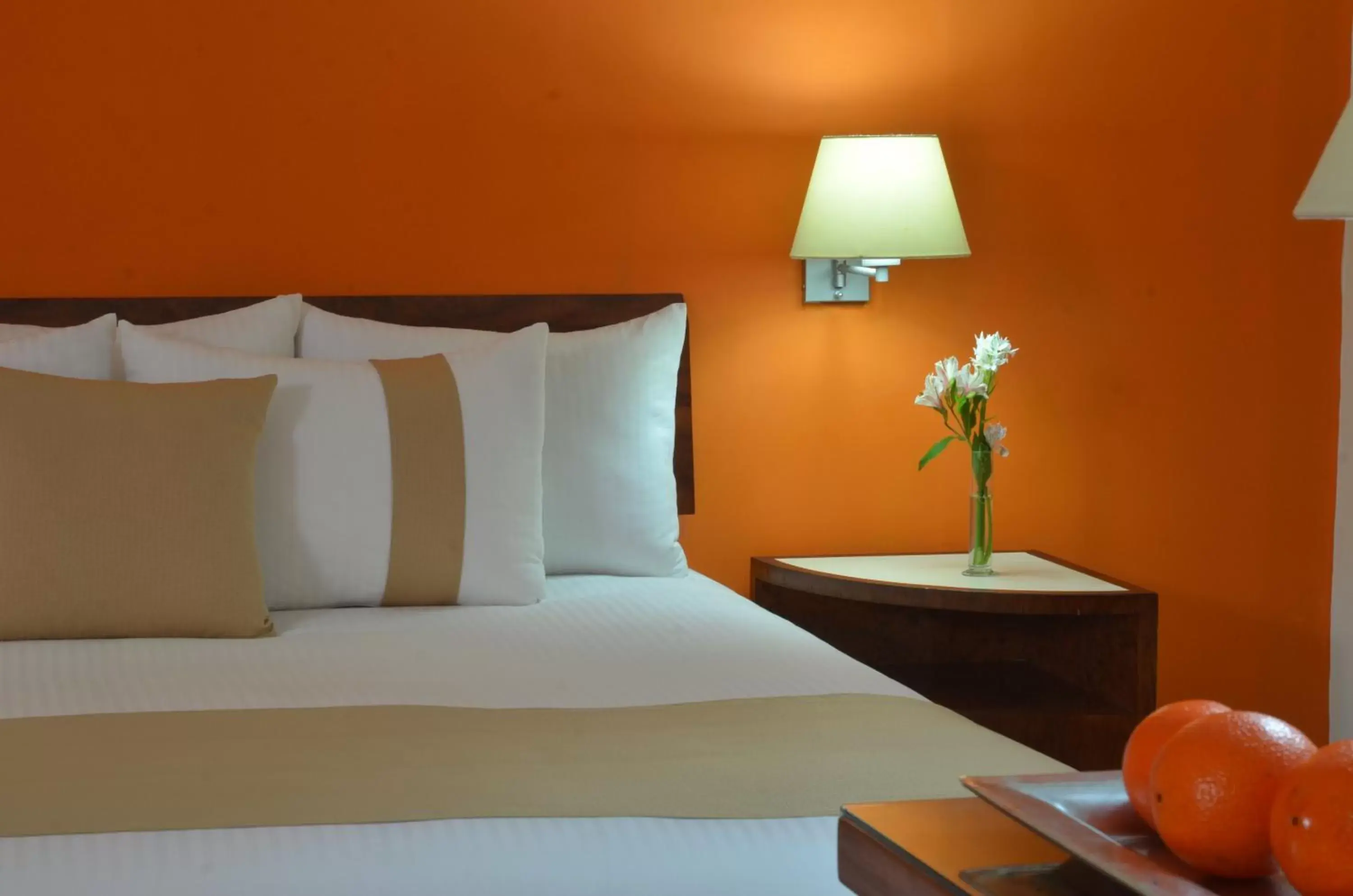 Photo of the whole room in Mision Monterrey Centro Historico Photo of the whole room in Mision Monterrey Centro Historico