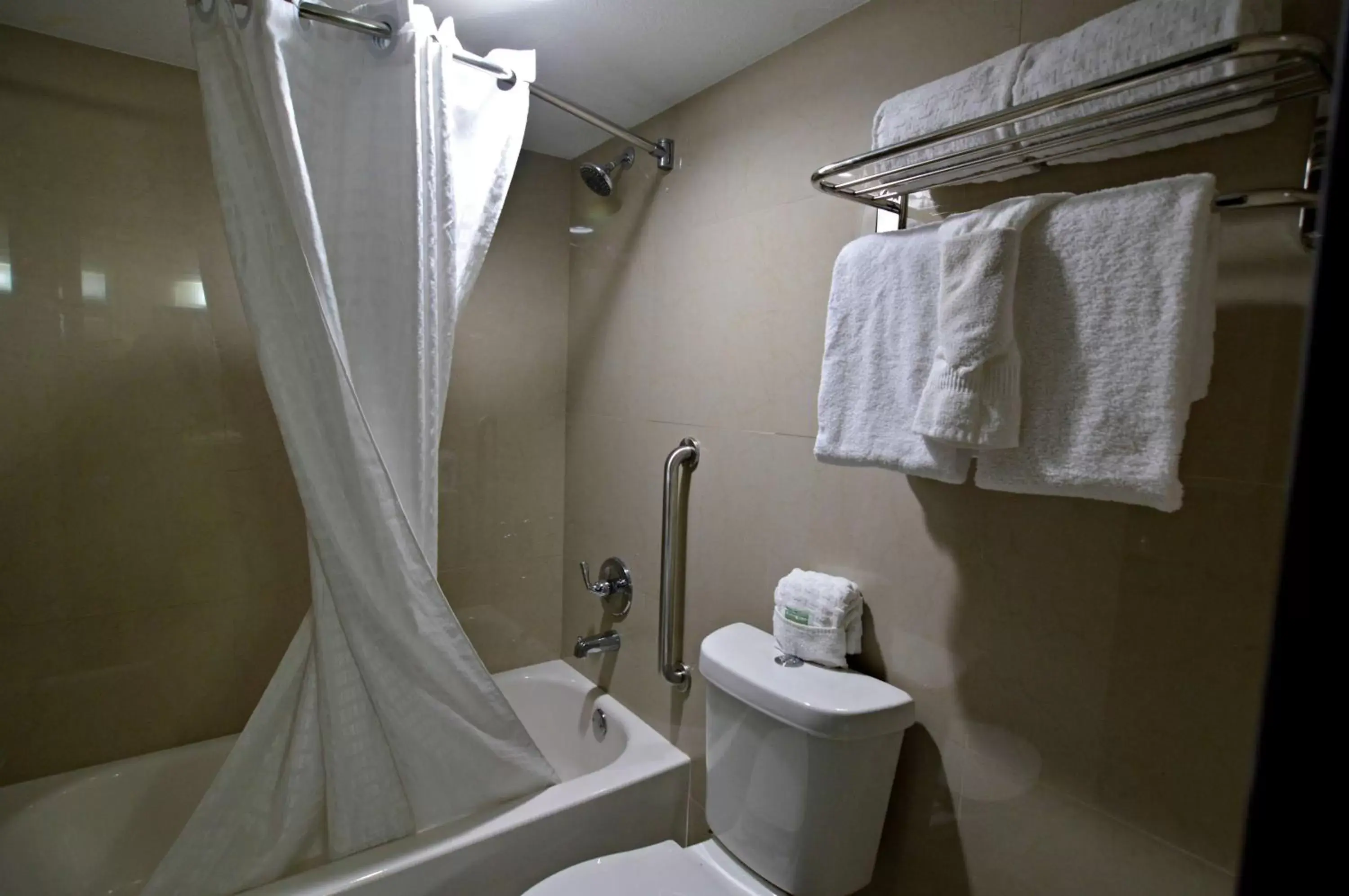 Bathroom in Best Western Inn of Del Rio