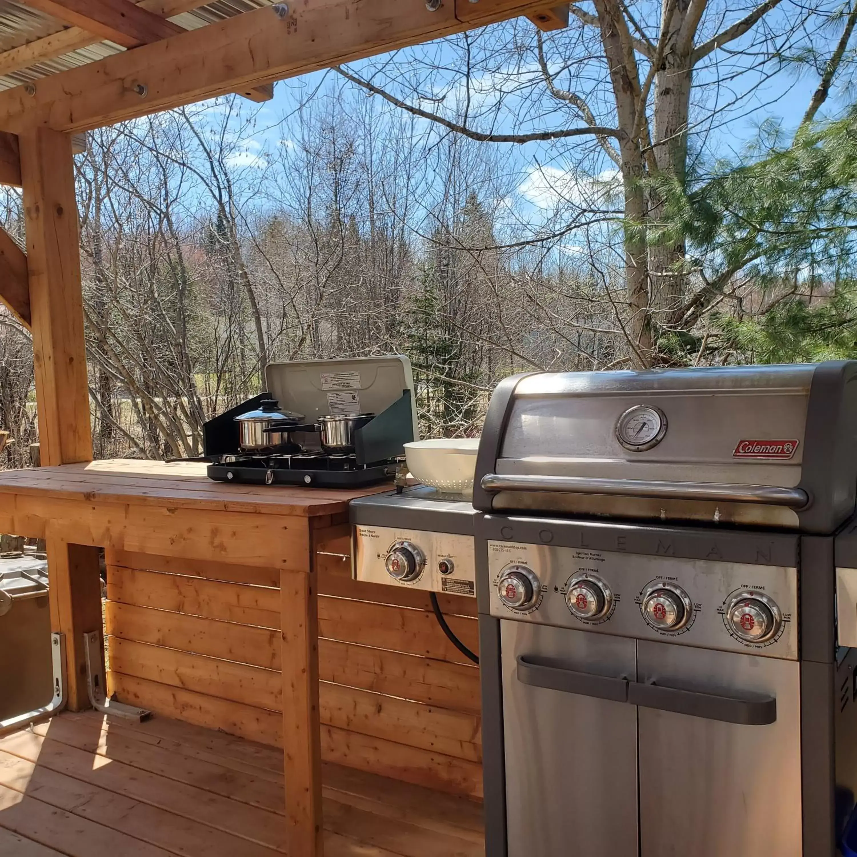 BBQ Facilities in Motel Abricafé