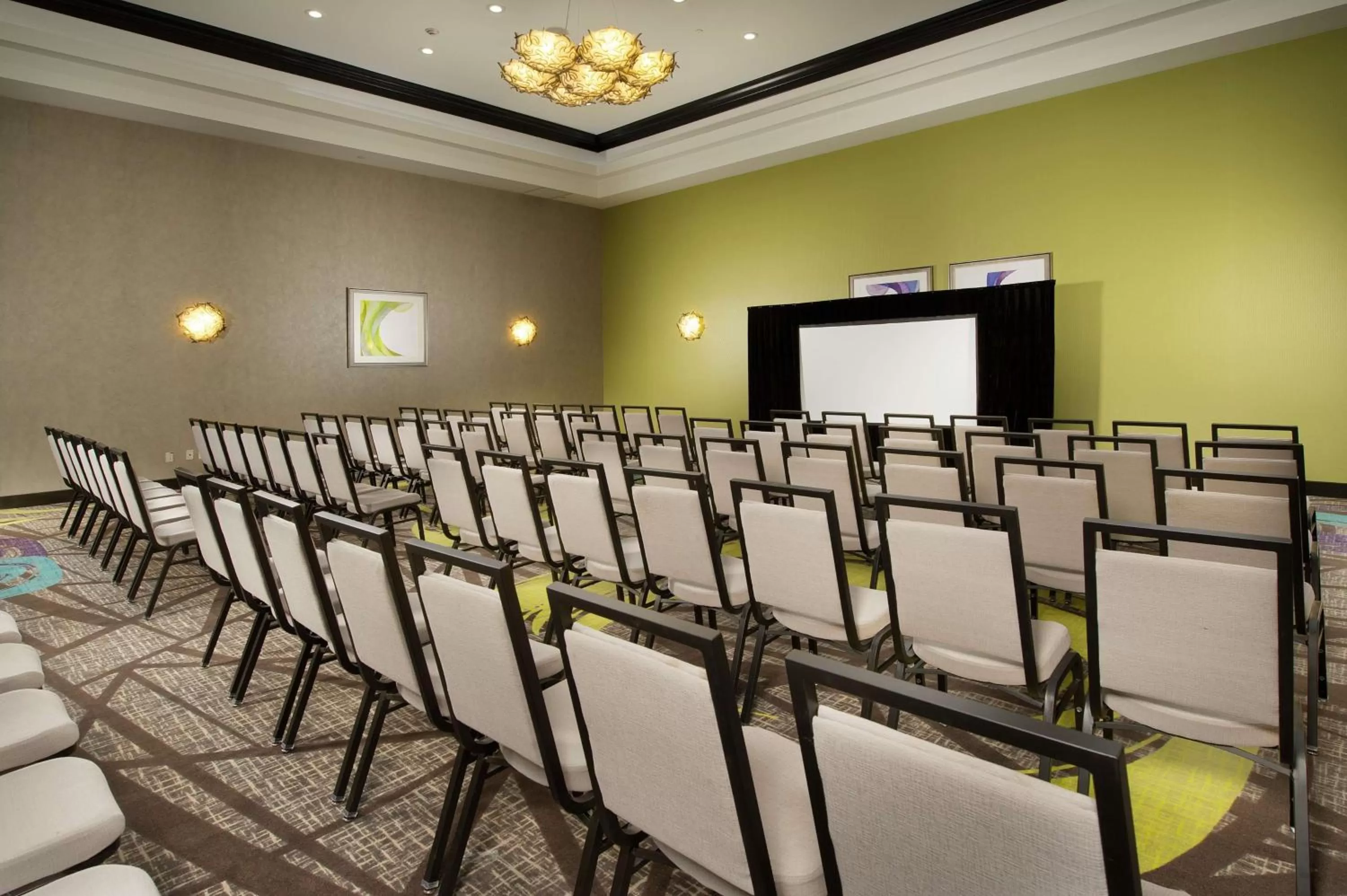 Meeting/conference room in Hilton Garden Inn College Station