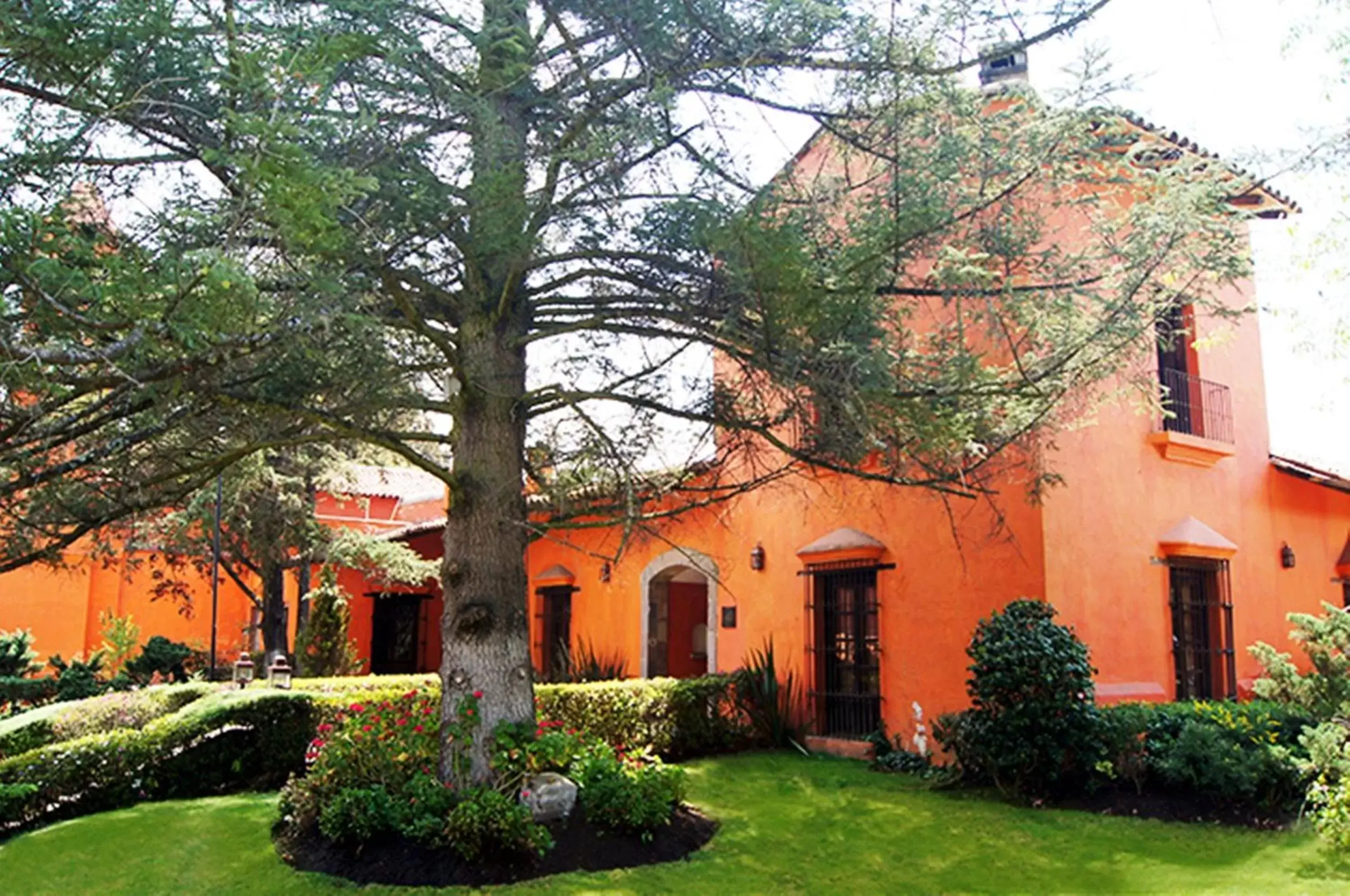 Garden, Property Building in Hotel Hacienda San Martin