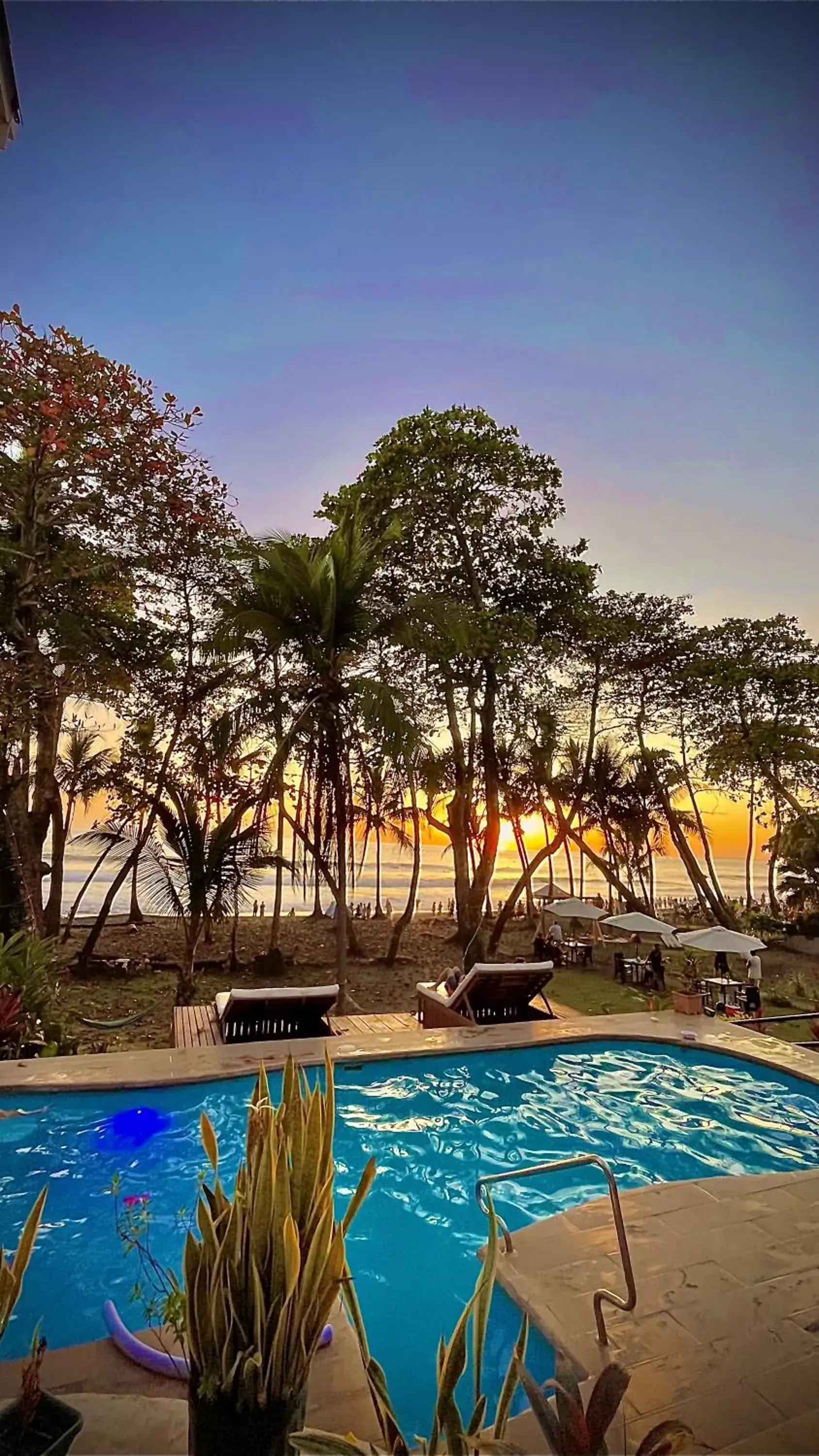 Natural landscape, Swimming Pool in Hotel Beachfront Vista Hermosa