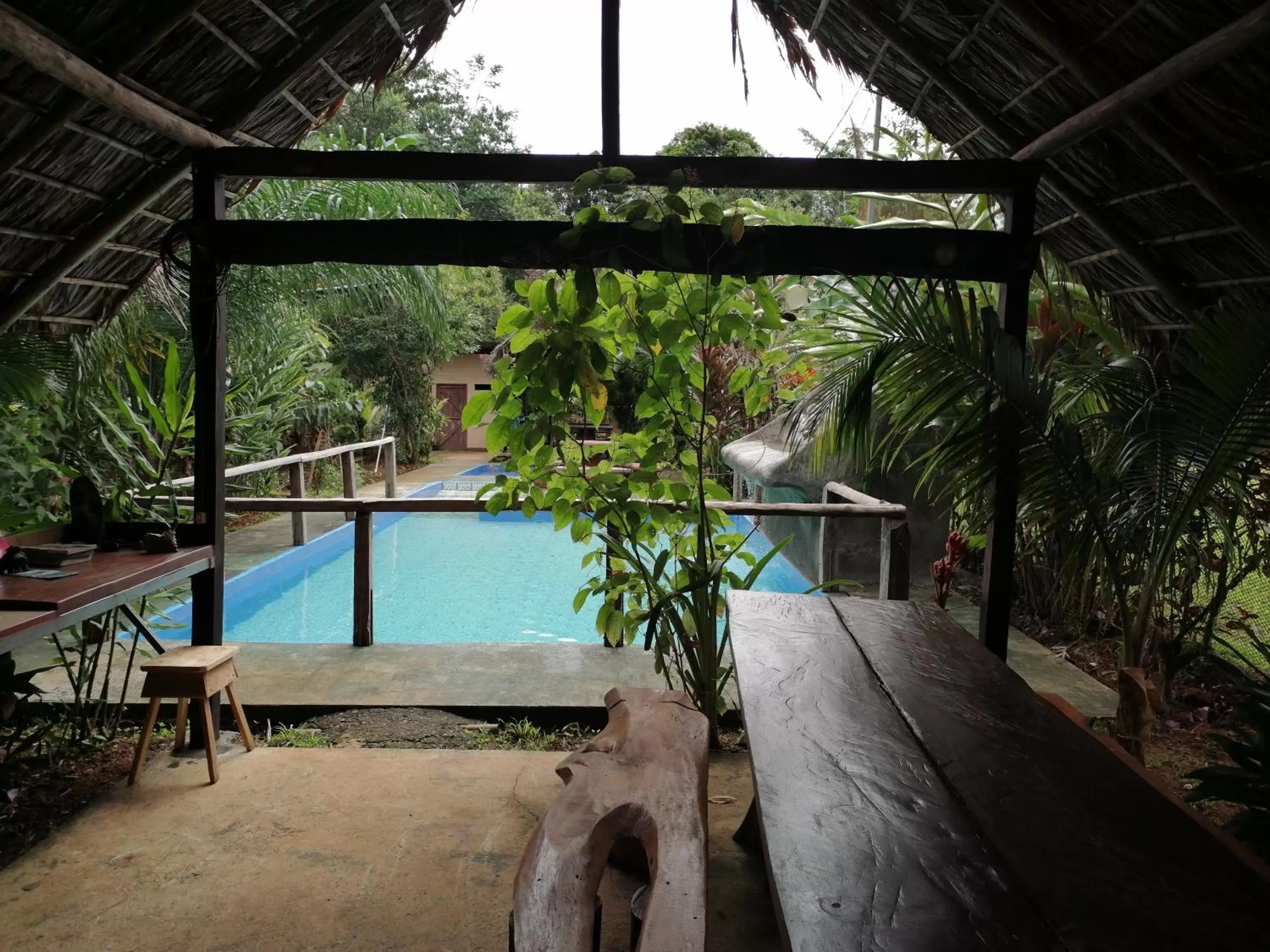 Pool View in Iguanitas Lodge