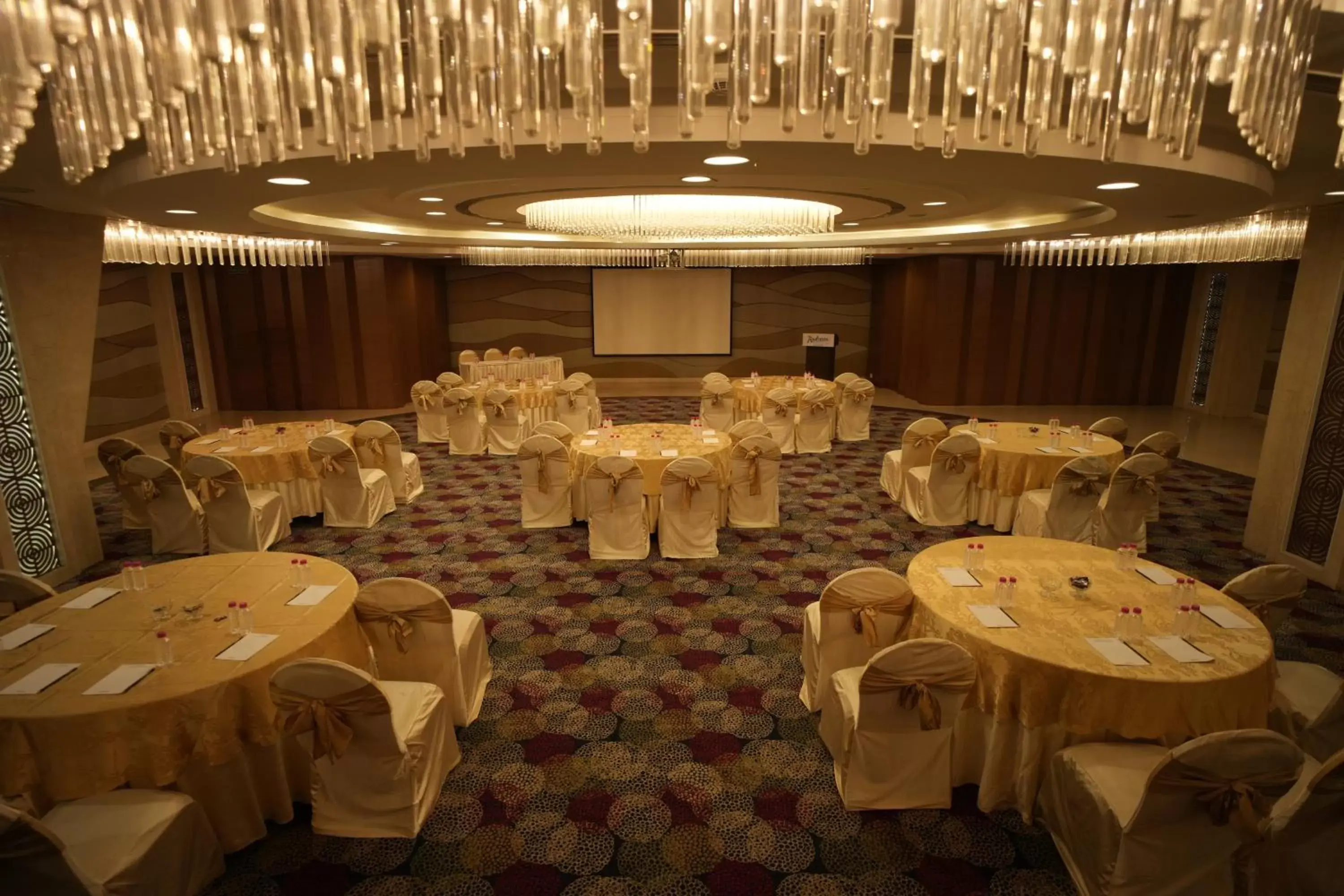 Banquet Facilities in Radisson Udaipur