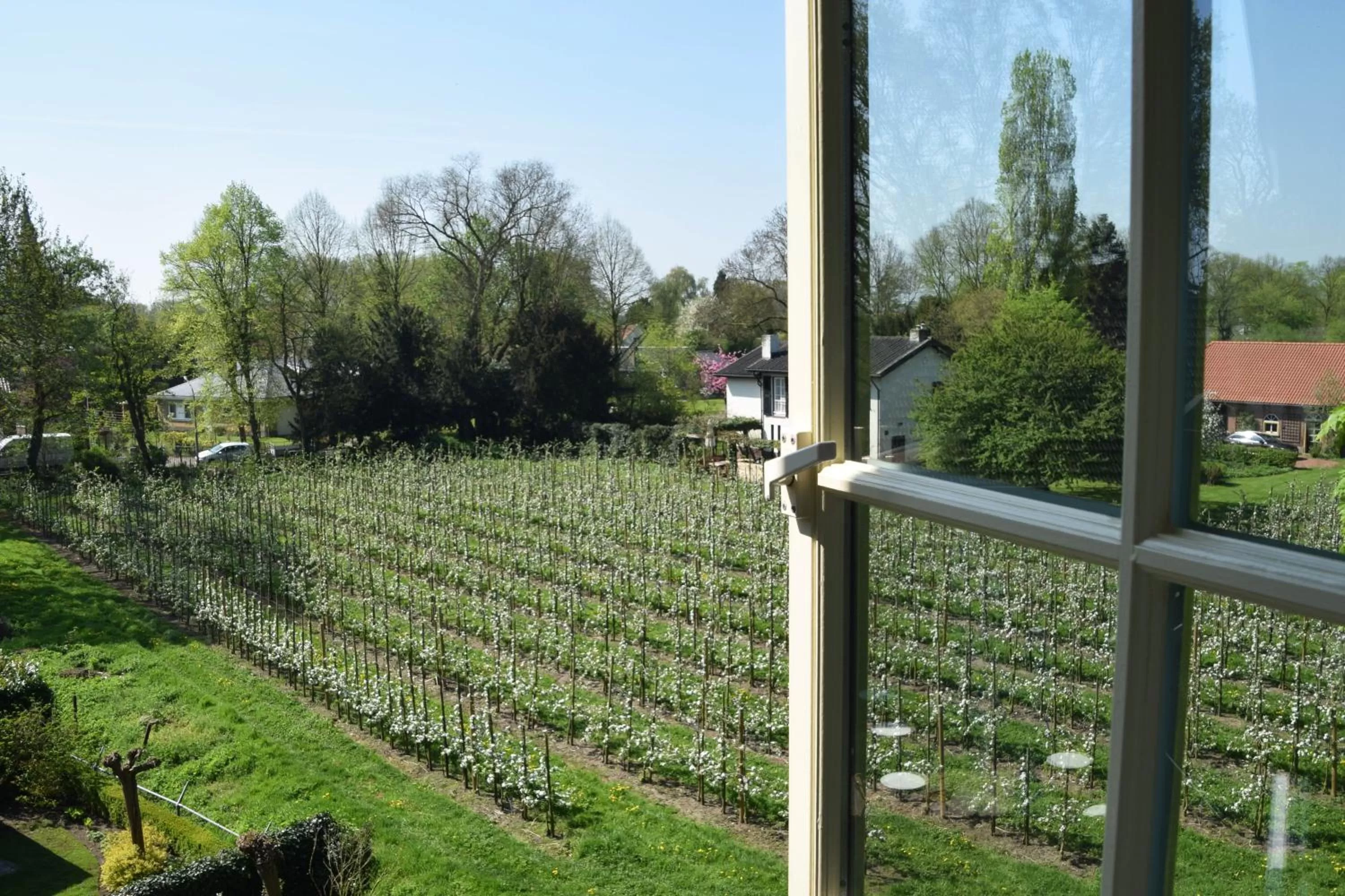 Garden view in De Gouden Molen