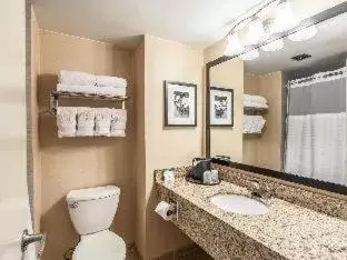 King Room with Roll-in-Shower - Accessible/Non Smoking in Comfort Inn & Suites Alexandria West