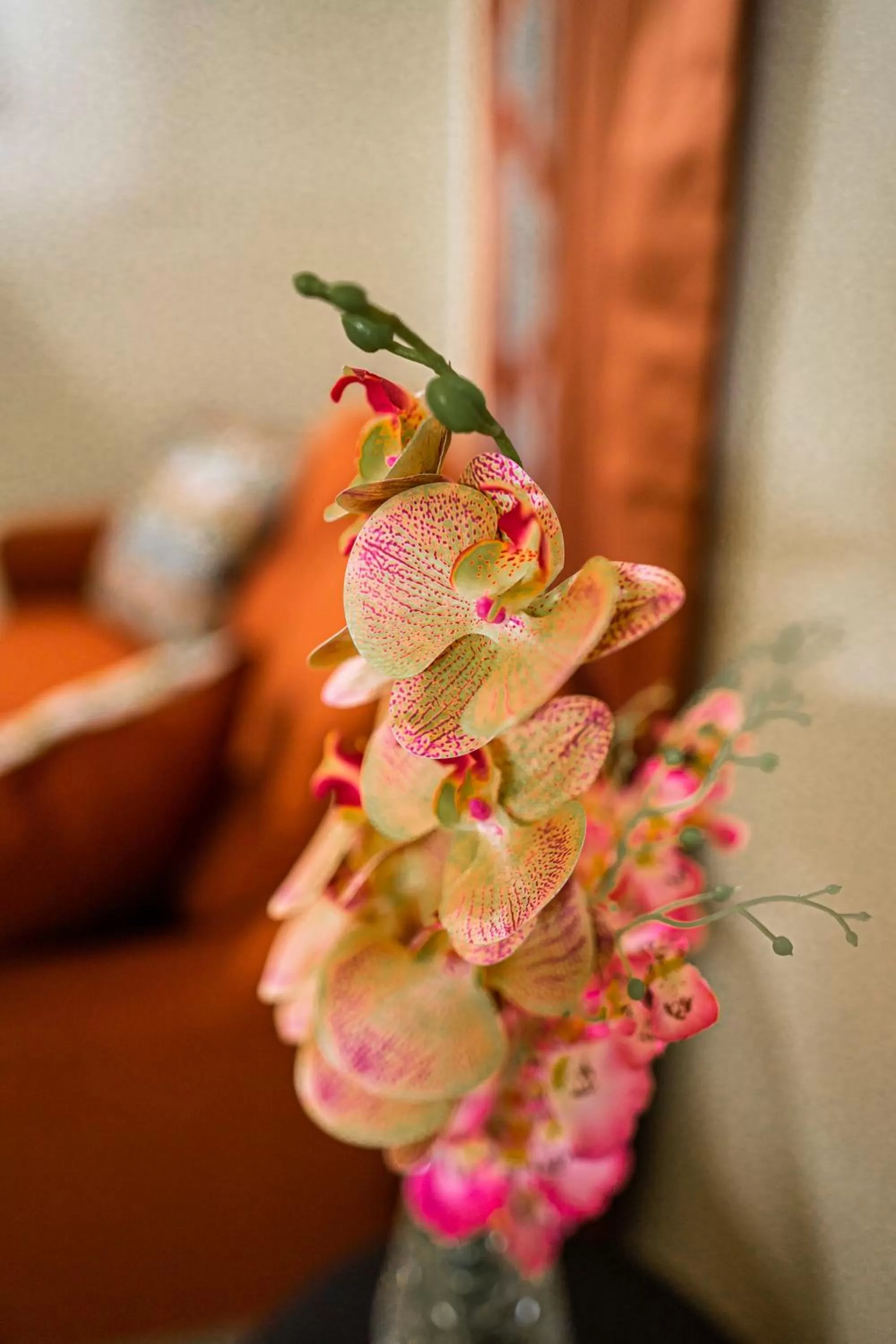 Living room in Connie's Comfort Suites