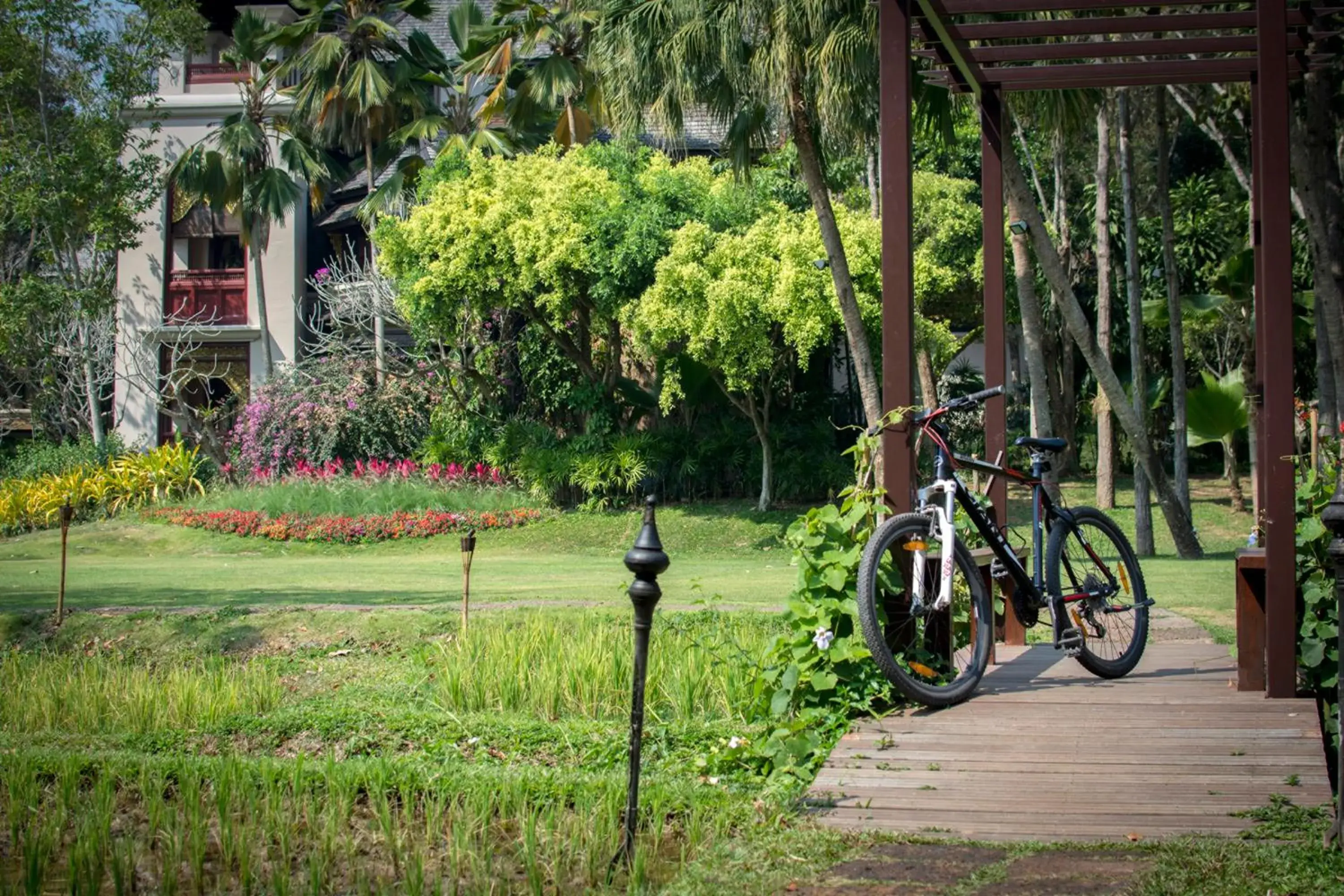 Natural landscape in Four Seasons Resort Chiang Mai