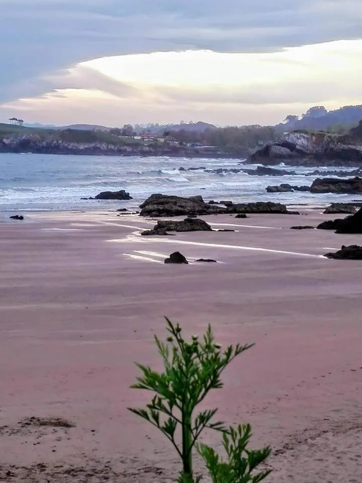 Beach in Hotel Piedra