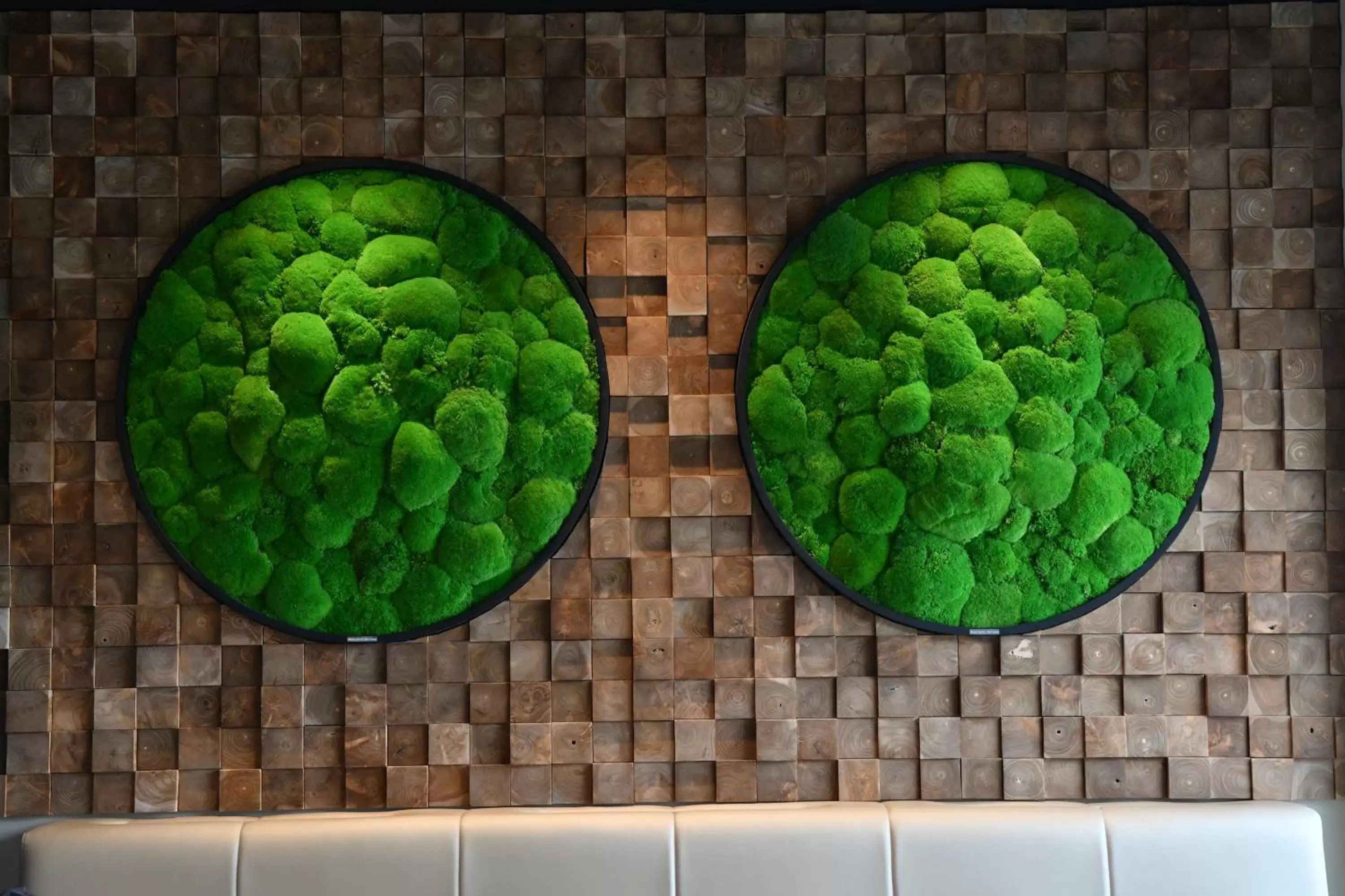 Decorative detail, Food in In Situ Hotel