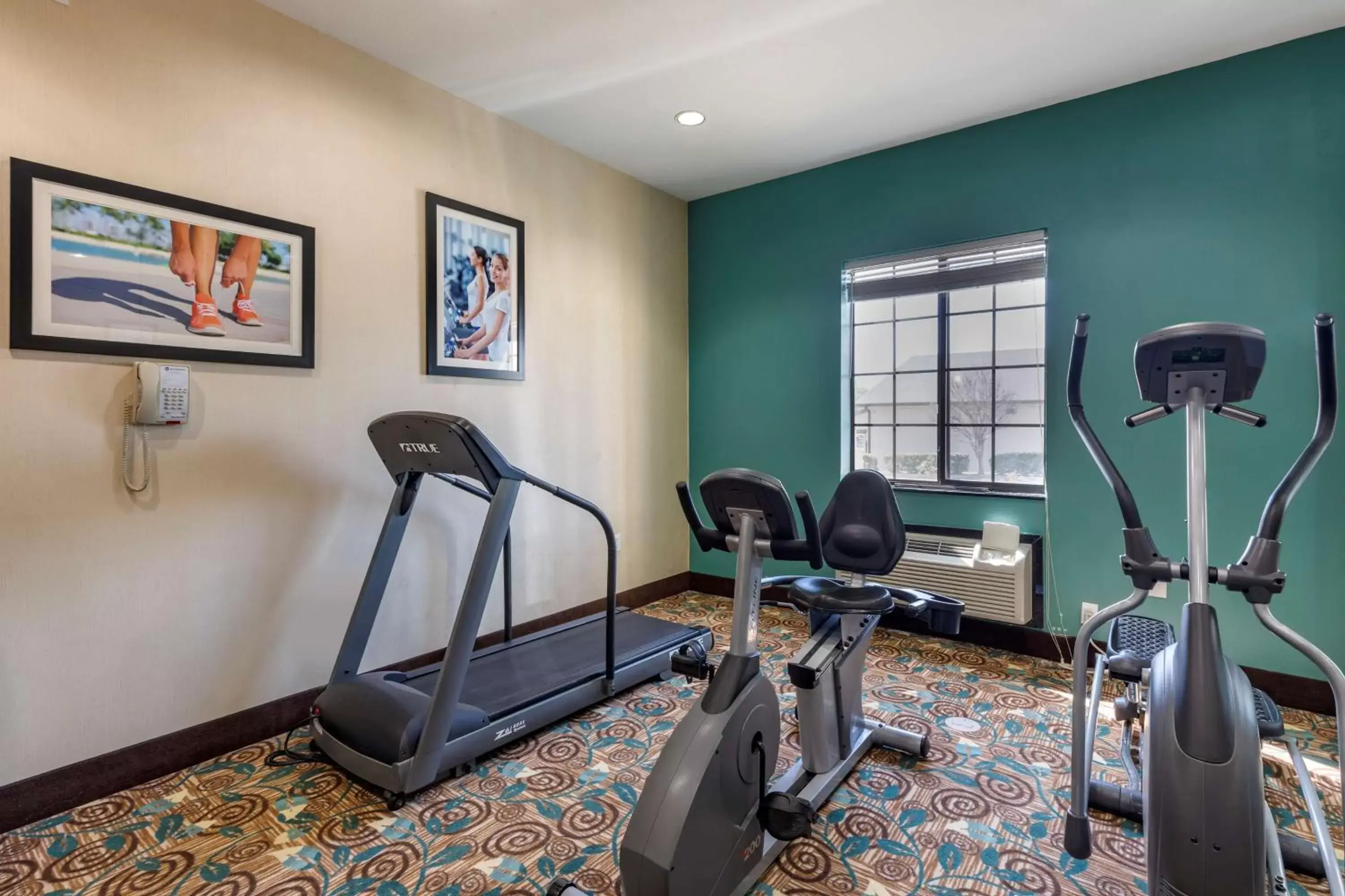 Spa and wellness centre/facilities, Fitness Center/Facilities in Best Western Mineola Inn