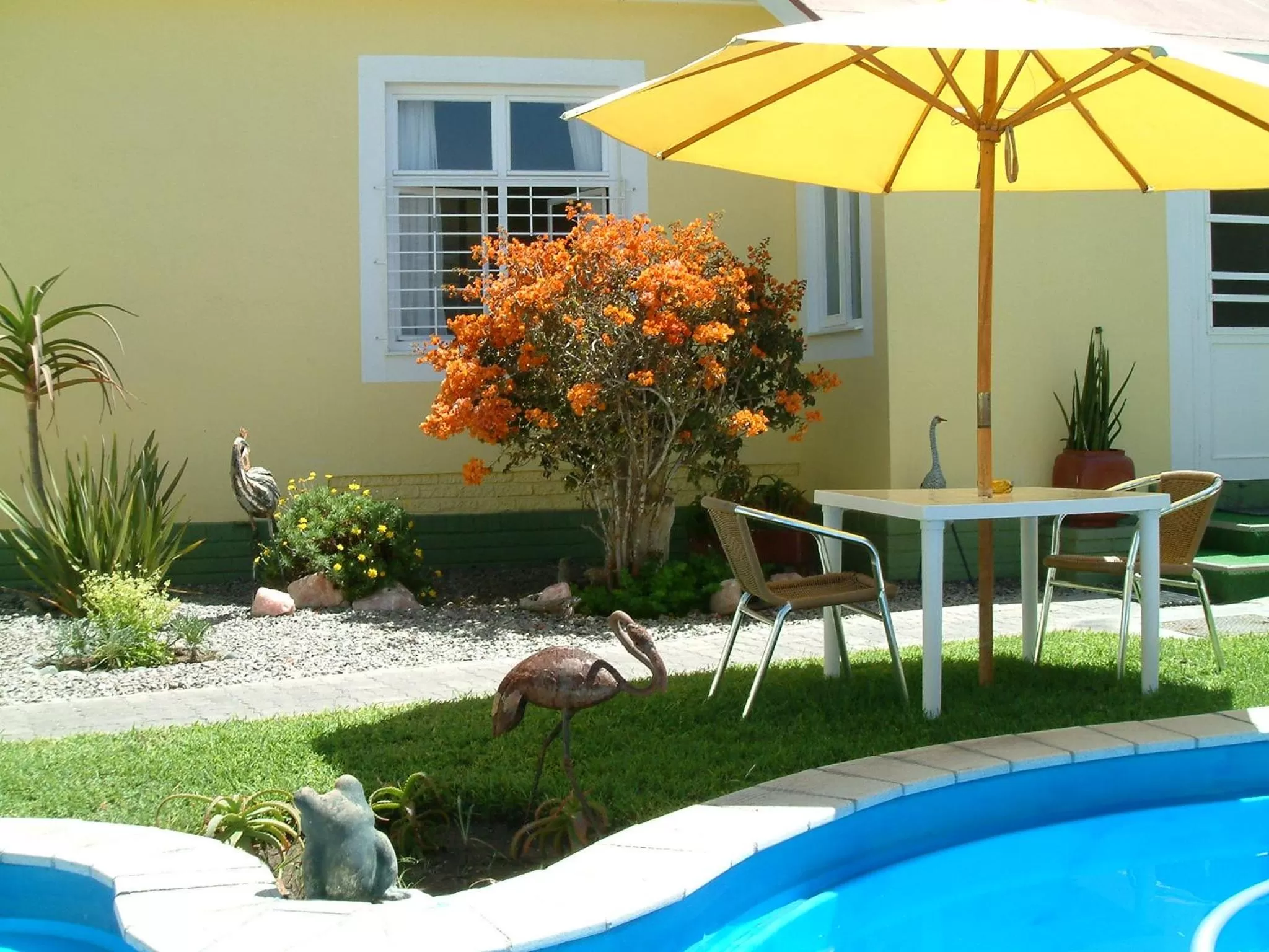 Swimming pool in Pension d'Avignon