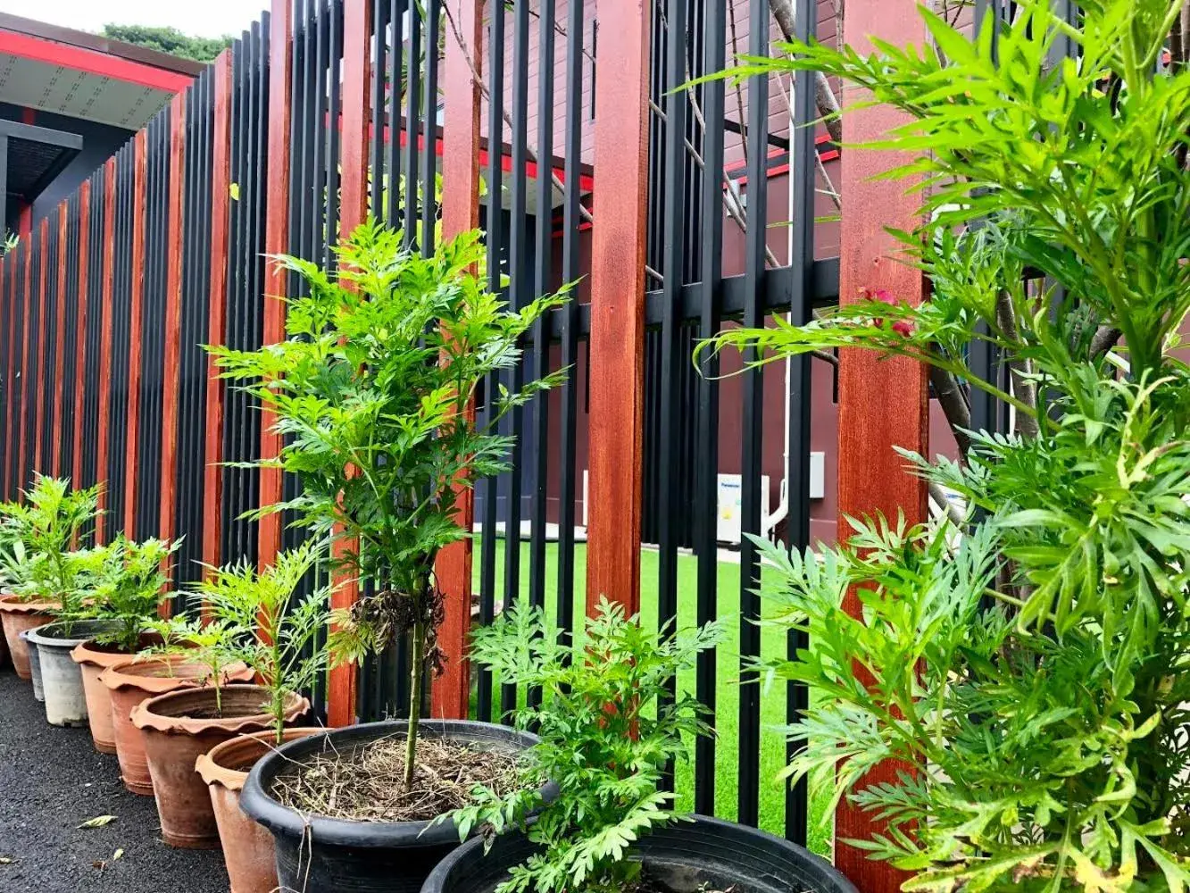 Property building in Thyme Xeriscape Hostel Property building in Thyme Xeriscape Hostel