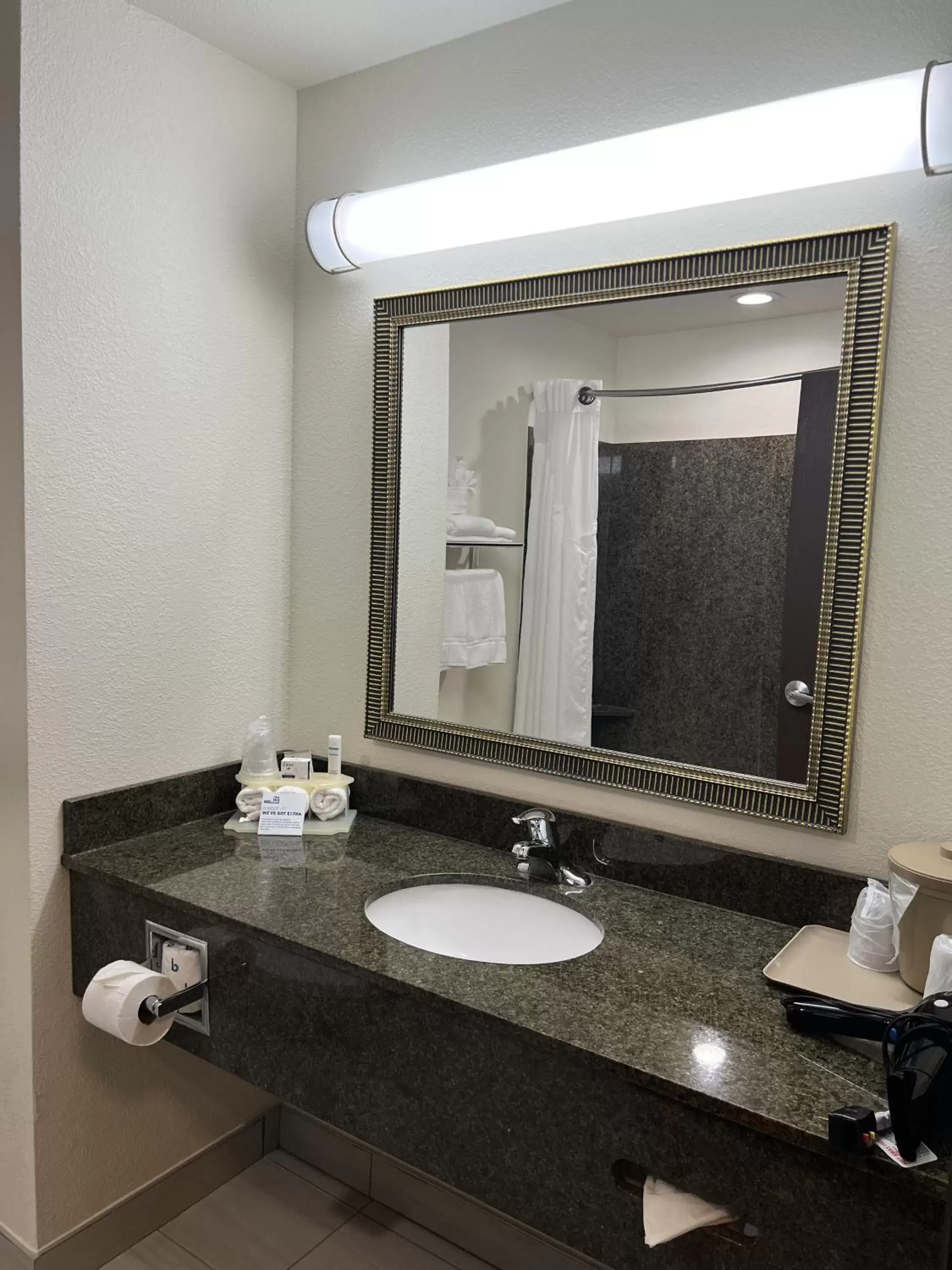 Bathroom in Holiday Inn Express & Suites - Omaha I - 80, an IHG Hotel