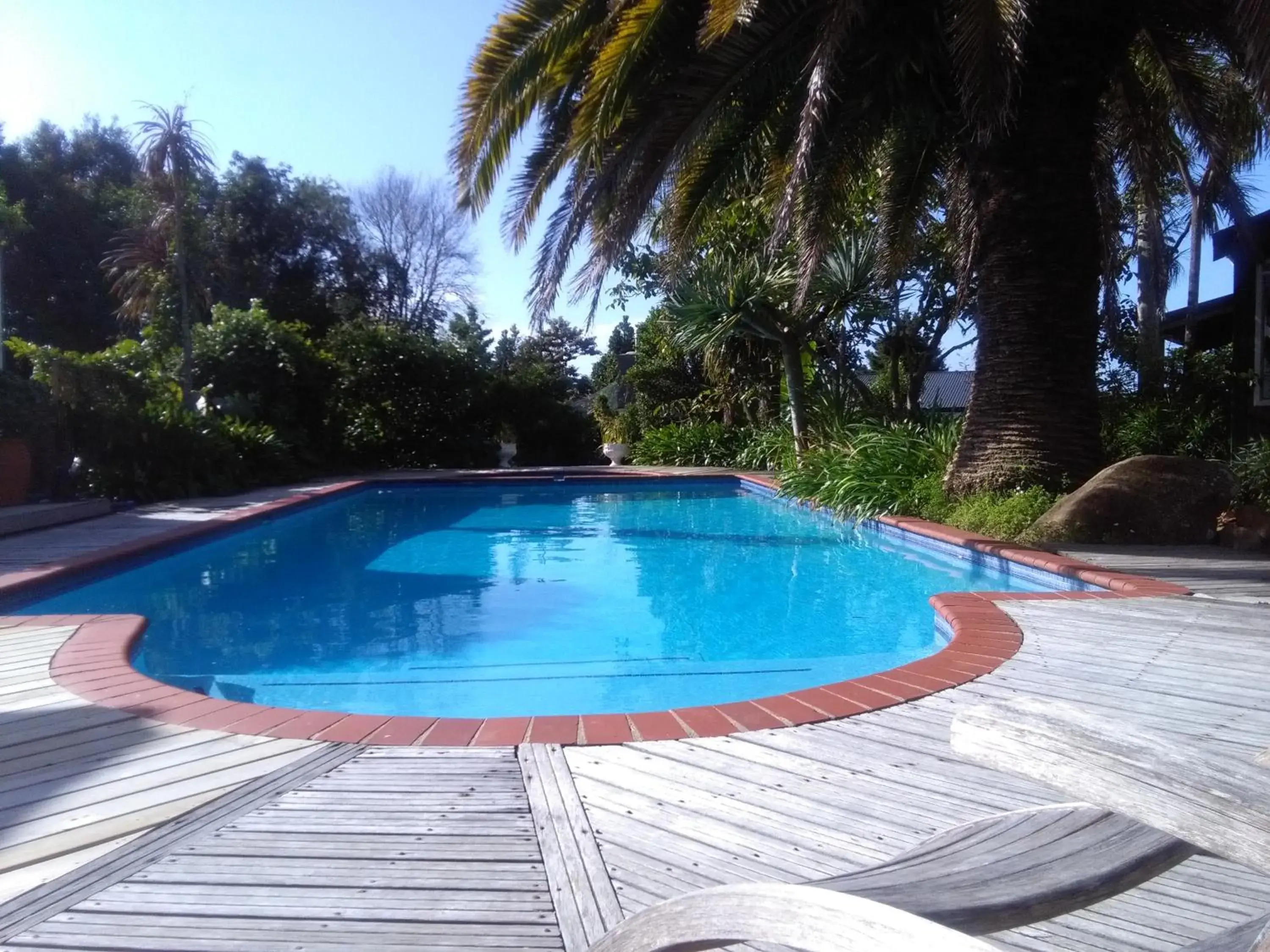 , Swimming Pool in Colonial House Motel