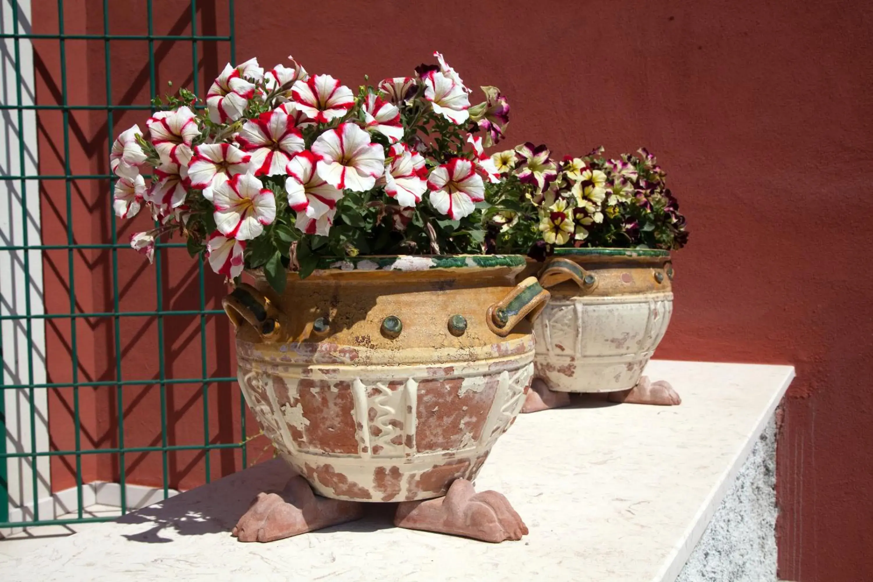 Decorative detail in Palazzo Pascal