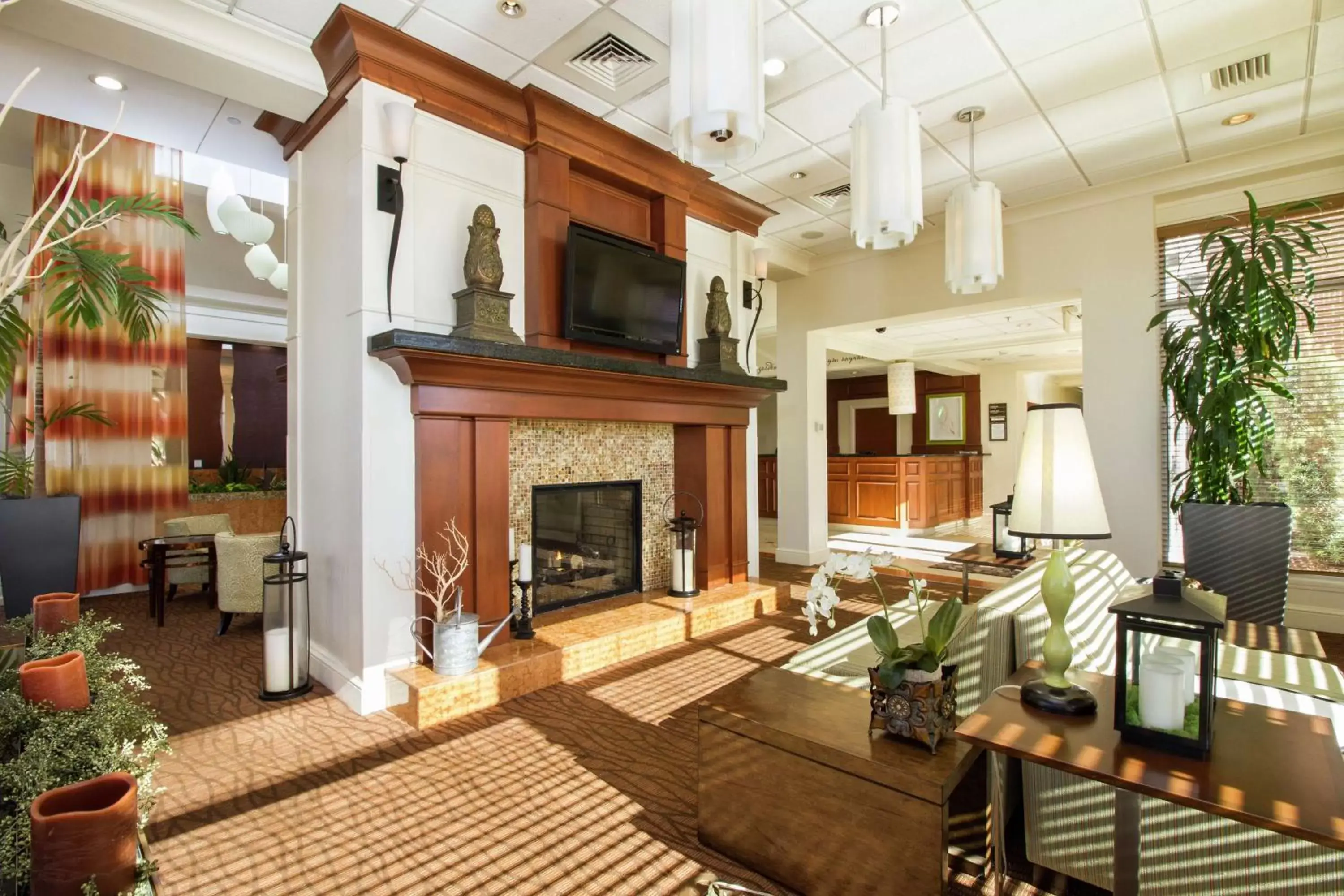 Lobby or reception in Hilton Garden Inn Anderson