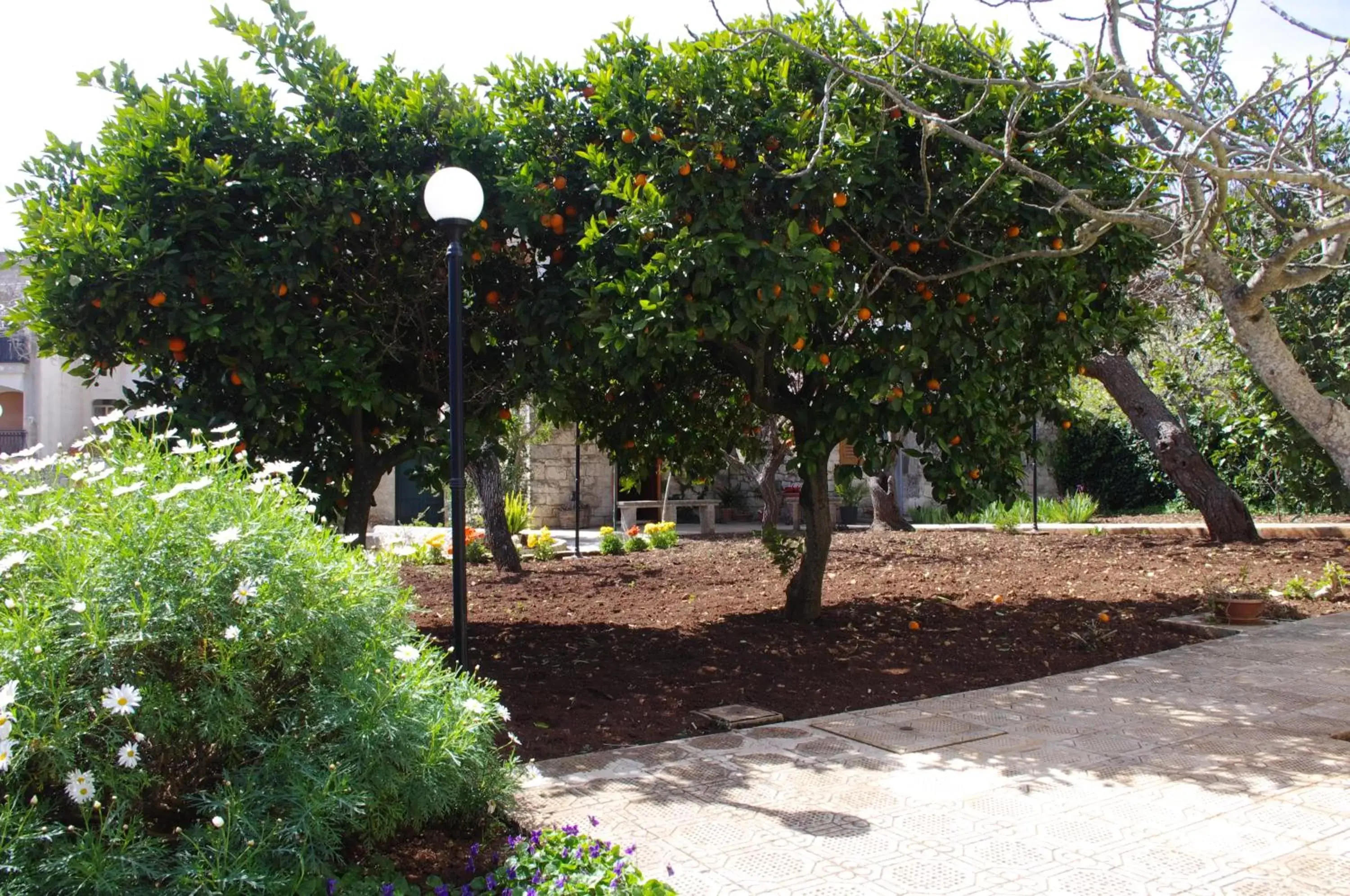 Day, Garden in La Piccola Locanda