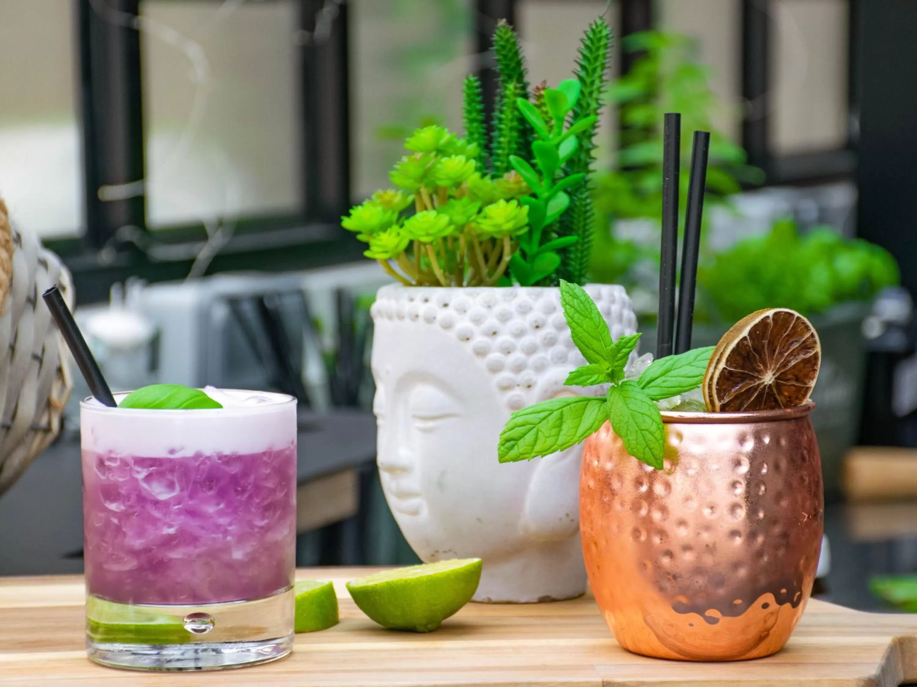 Drinks in Hotel Plaza