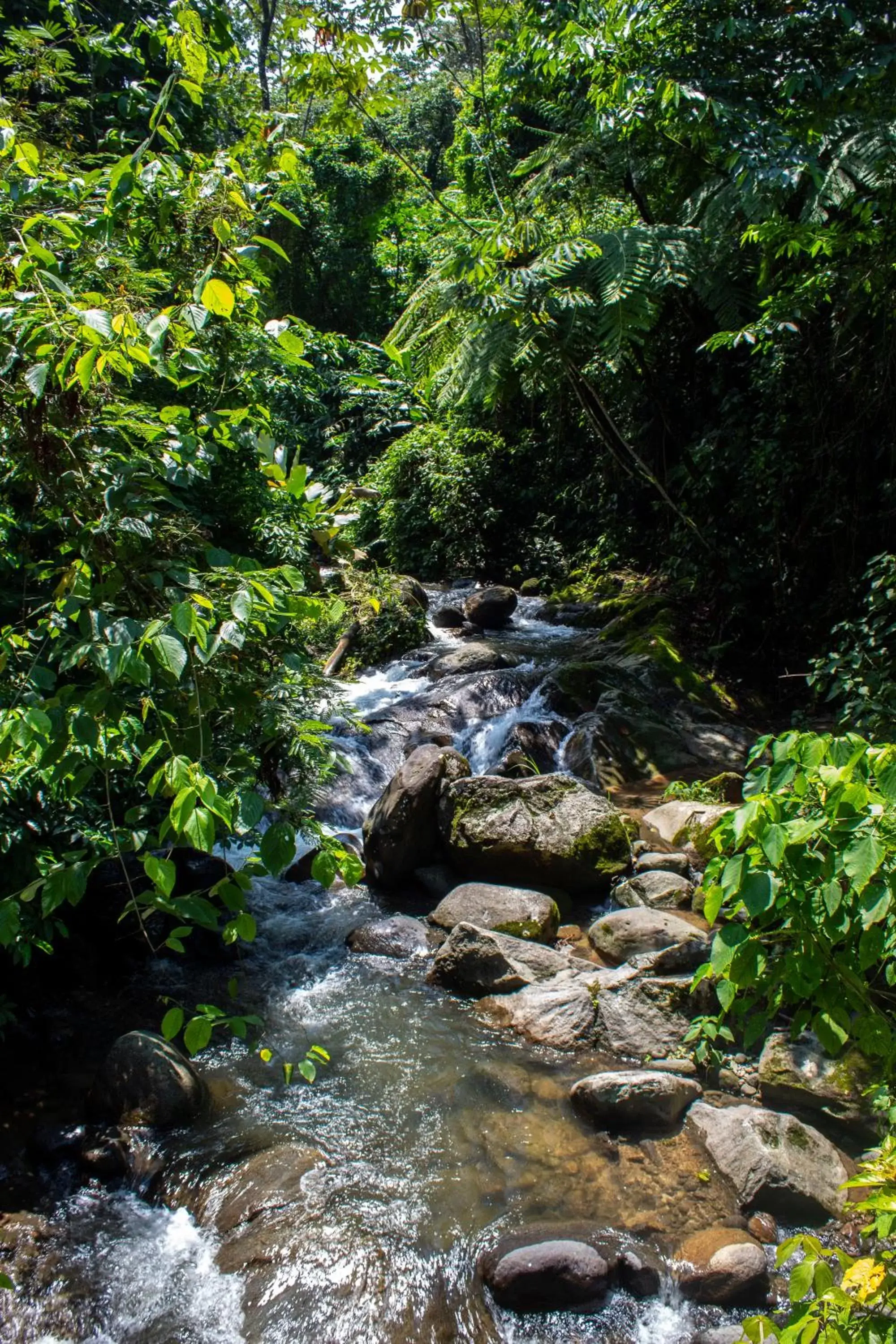 Activities in Argovia Finca Resort