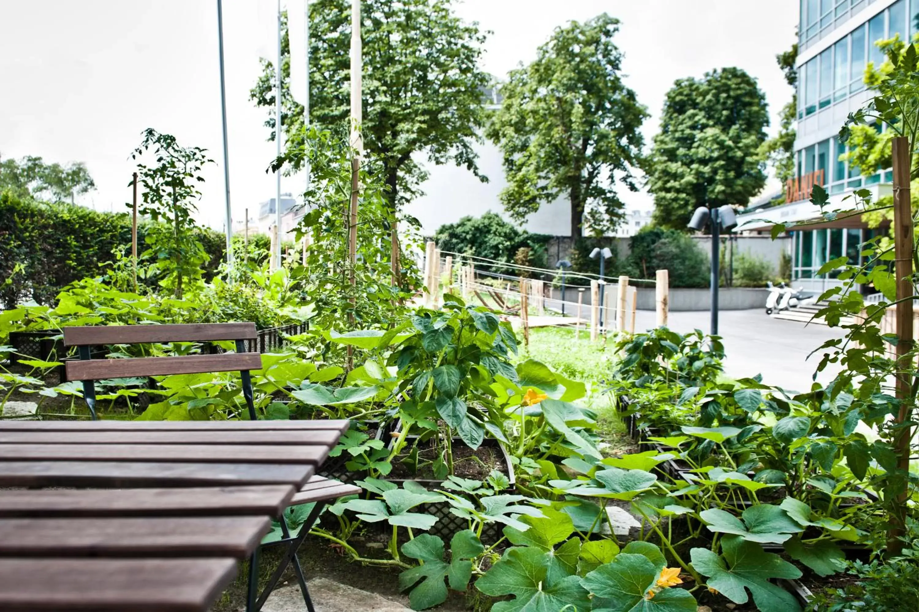 Garden in Hotel Daniel Vienna - Smart Luxury Near City Centre