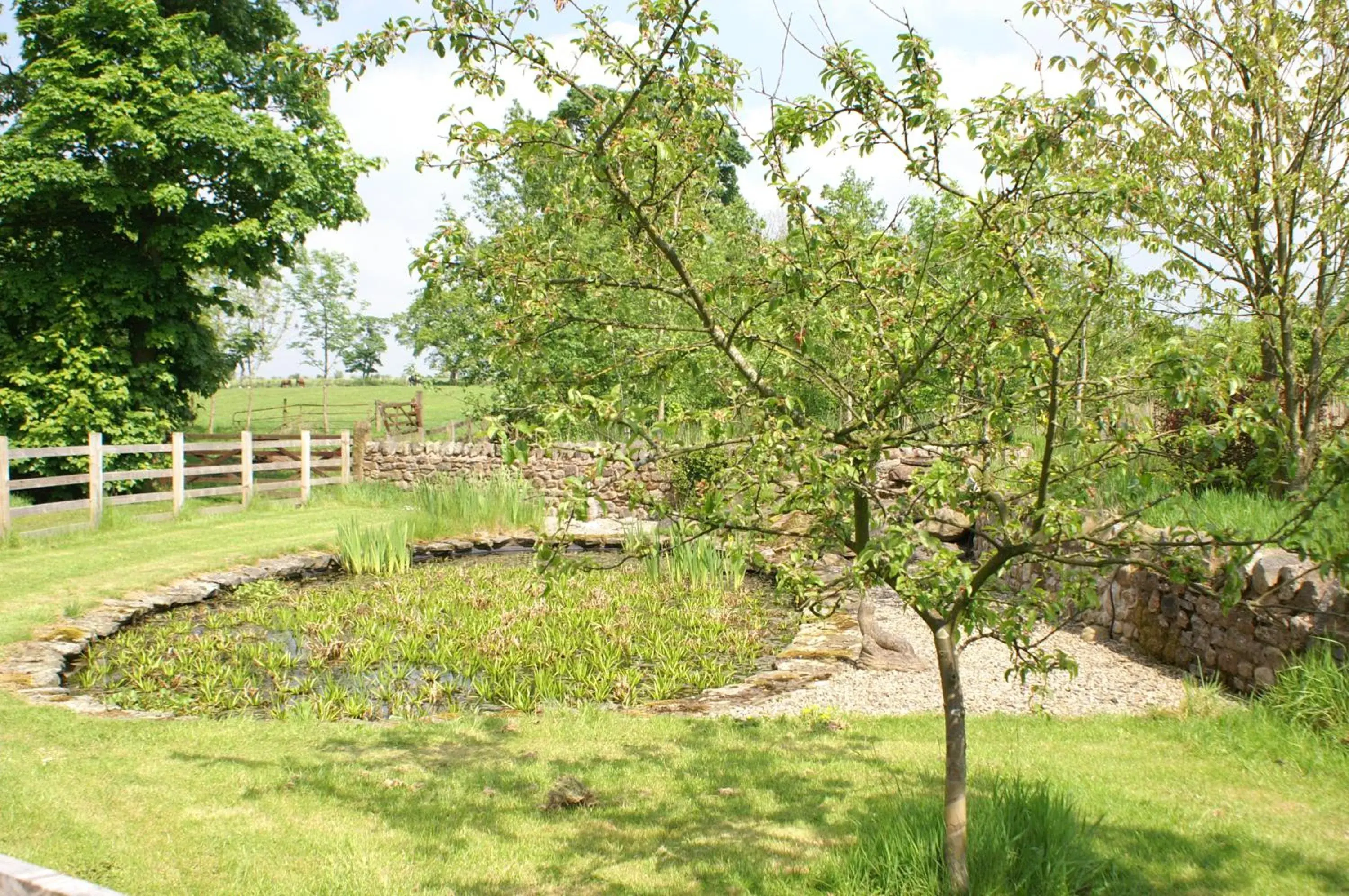 Garden view, Garden in Middle Flass Lodge