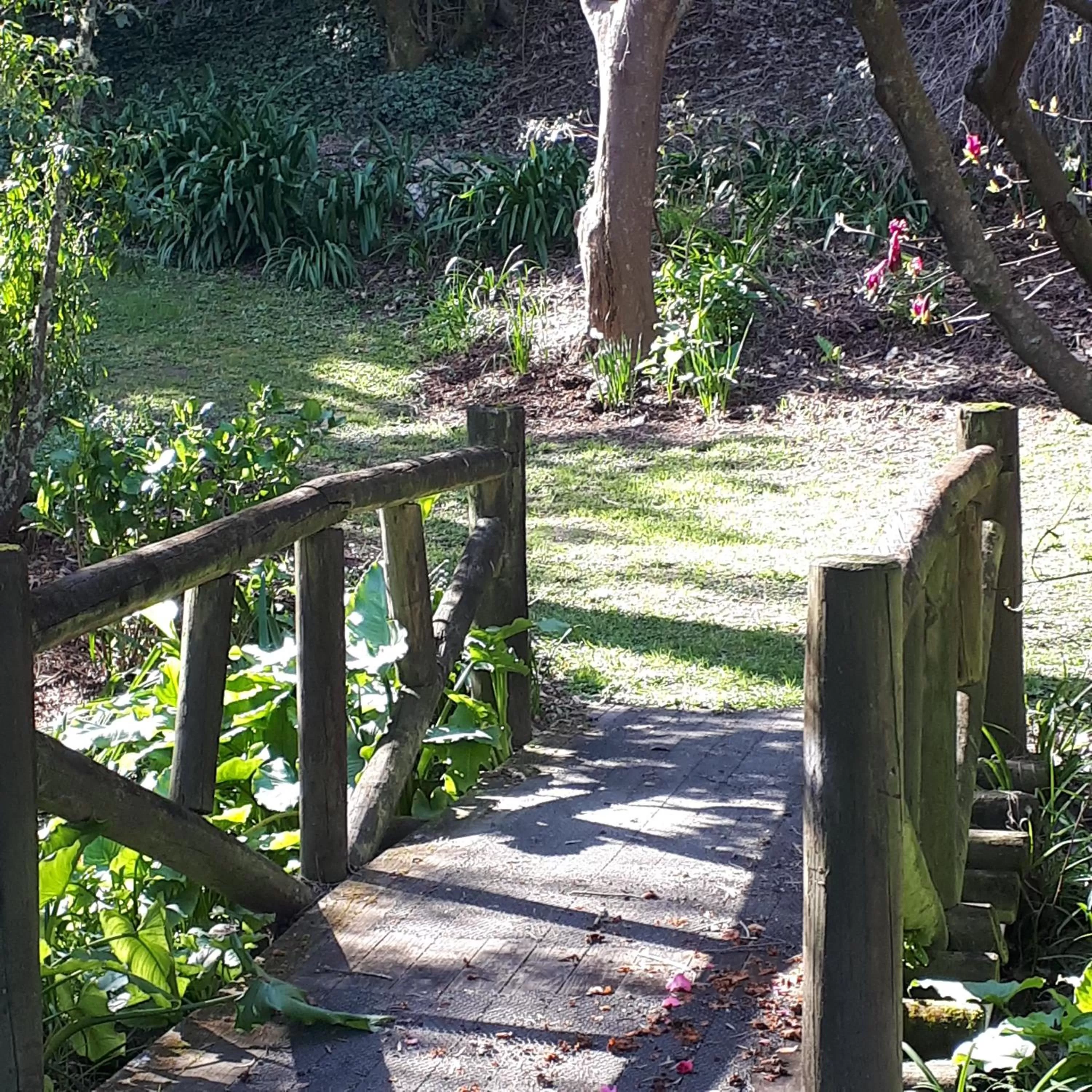 Garden in māra