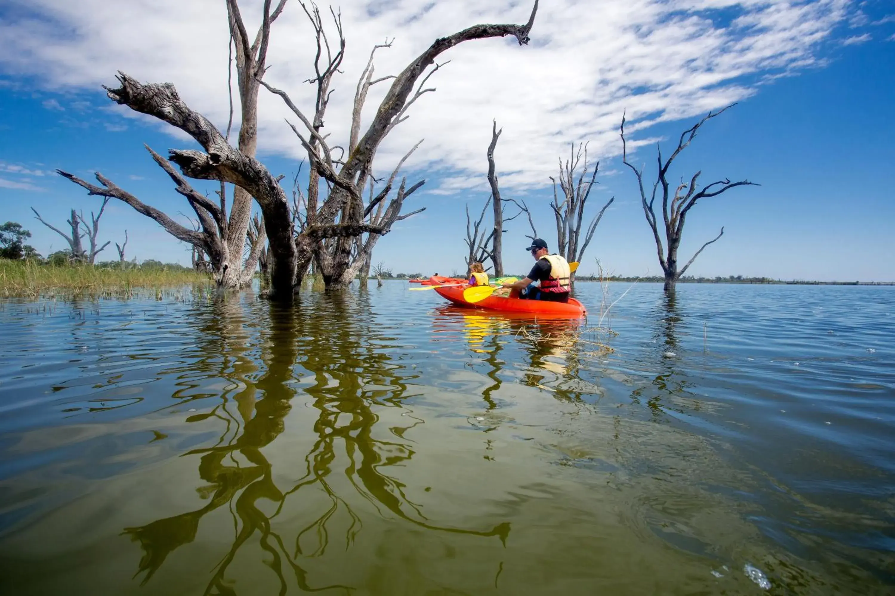 Canoeing in Discovery Parks - Lake Bonney