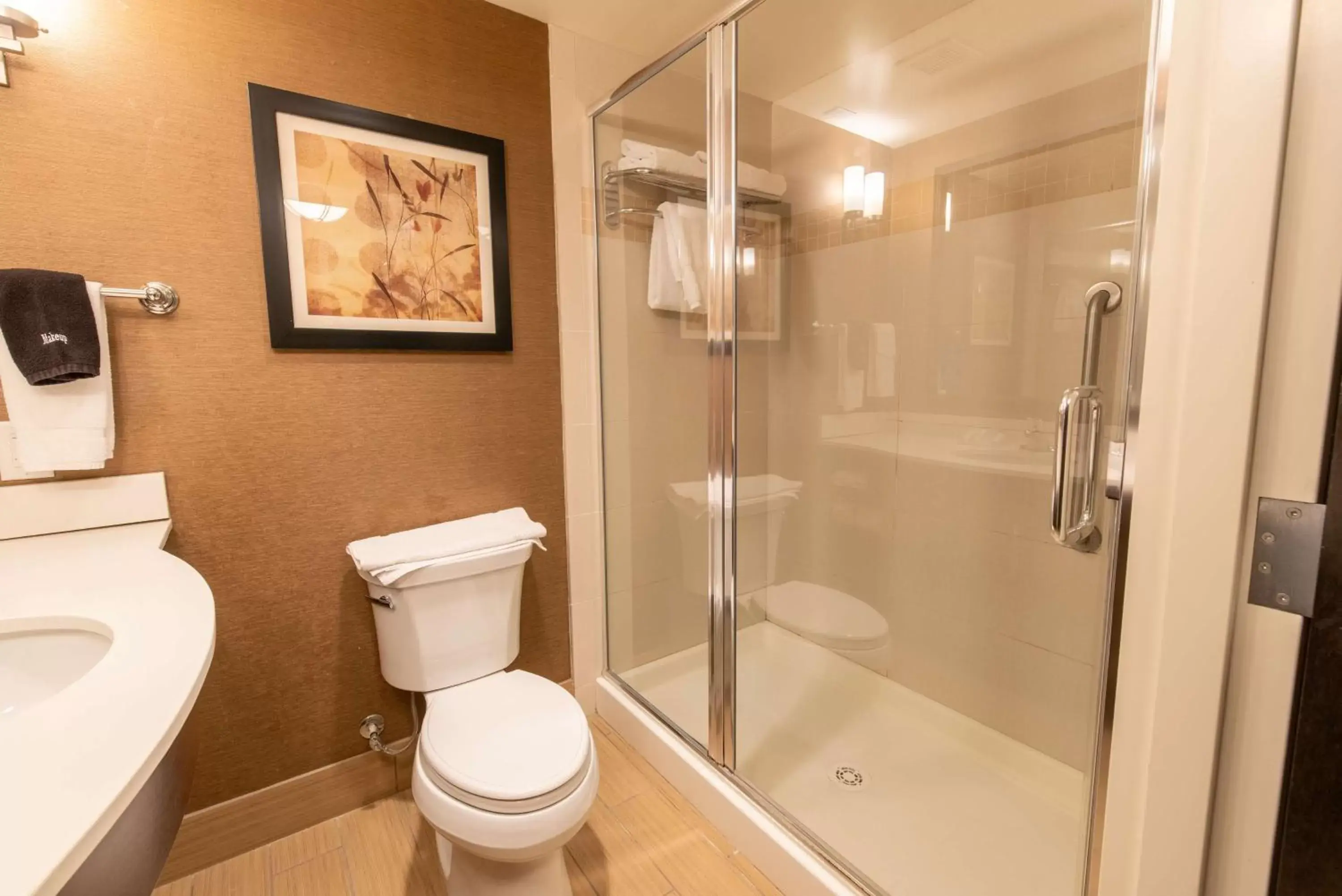 Bathroom in Hilton Garden Inn Ogden