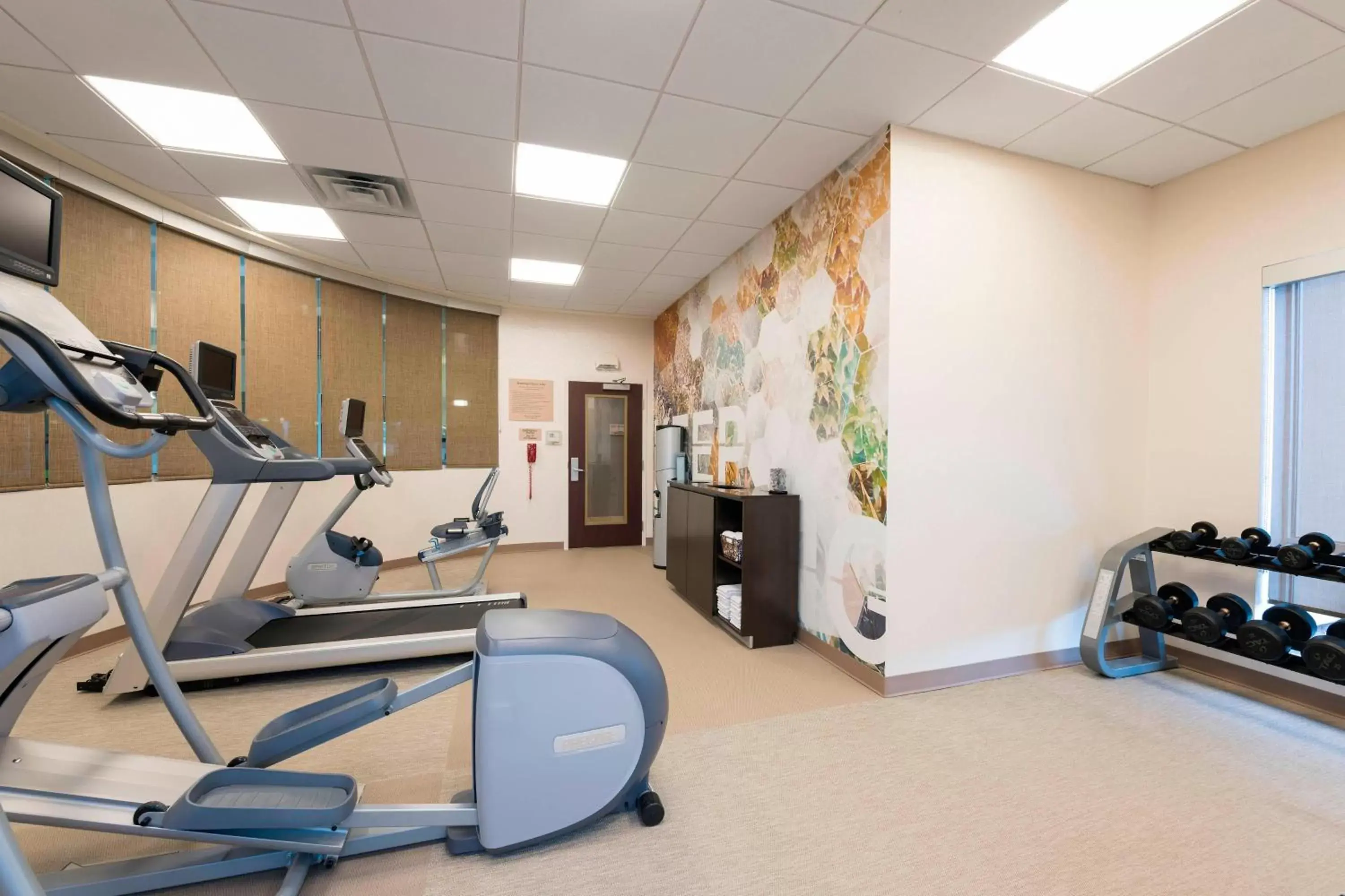 Fitness centre/facilities, Fitness Center/Facilities in SpringHill Suites Midland
