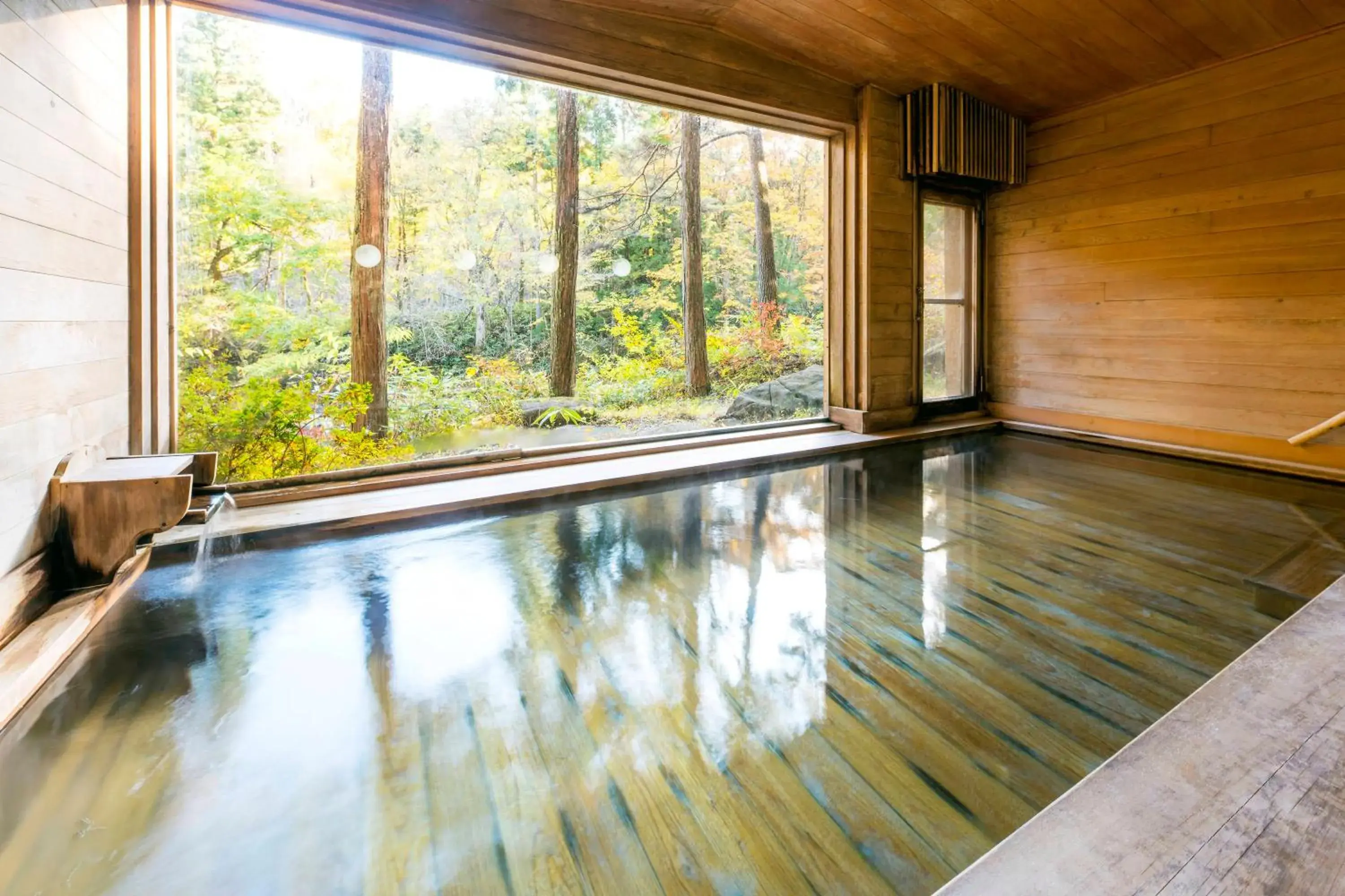 Hot Spring Bath, Swimming Pool in Wanosato Ryokan