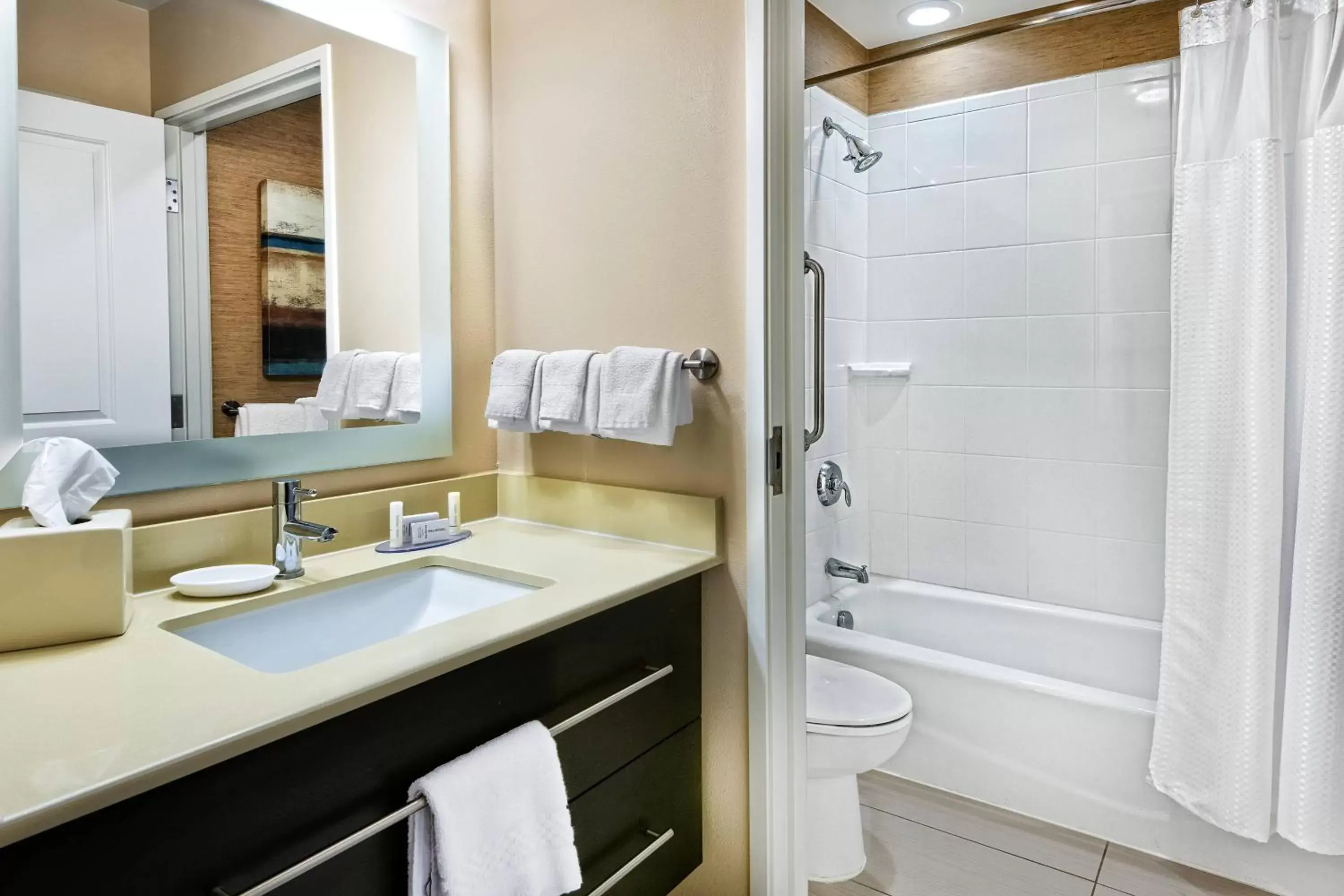 Bathroom in TownePlace Suites by Marriott San Antonio Downtown Riverwalk
