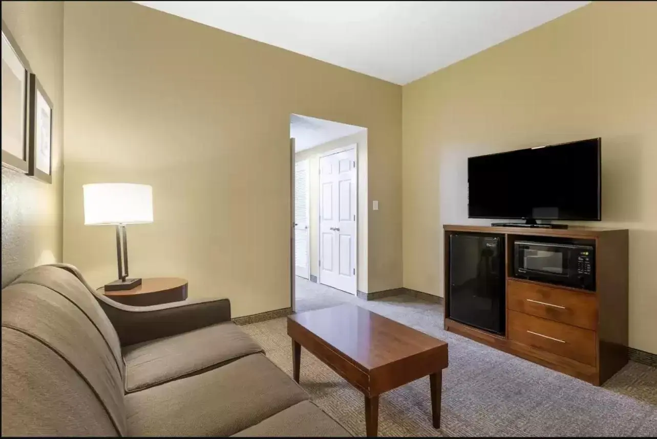 TV and multimedia, Seating Area in Comfort Inn & Suites Peachtree Corners
