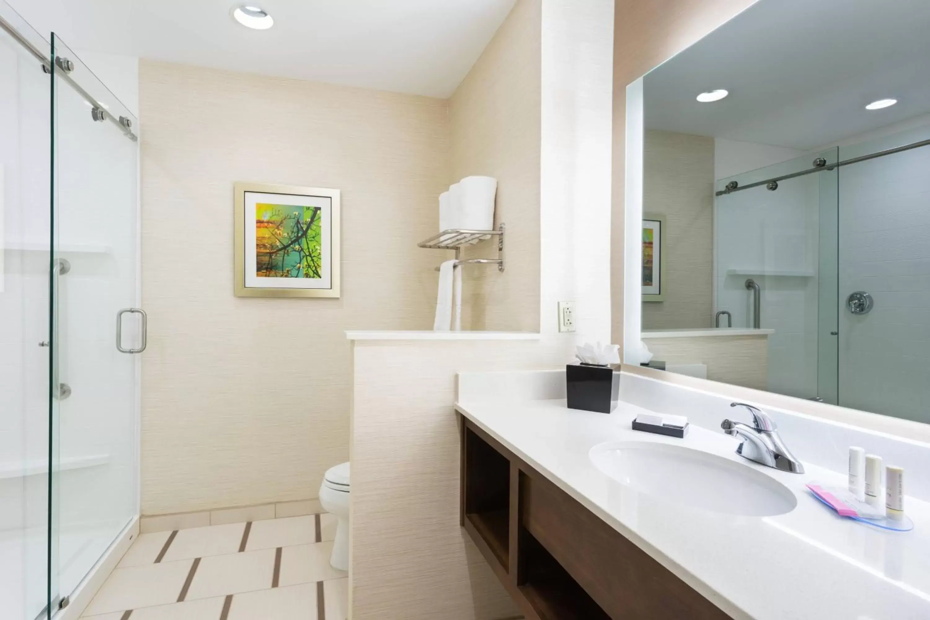 Bathroom in Fairfield Inn & Suites by Marriott Fort Stockton