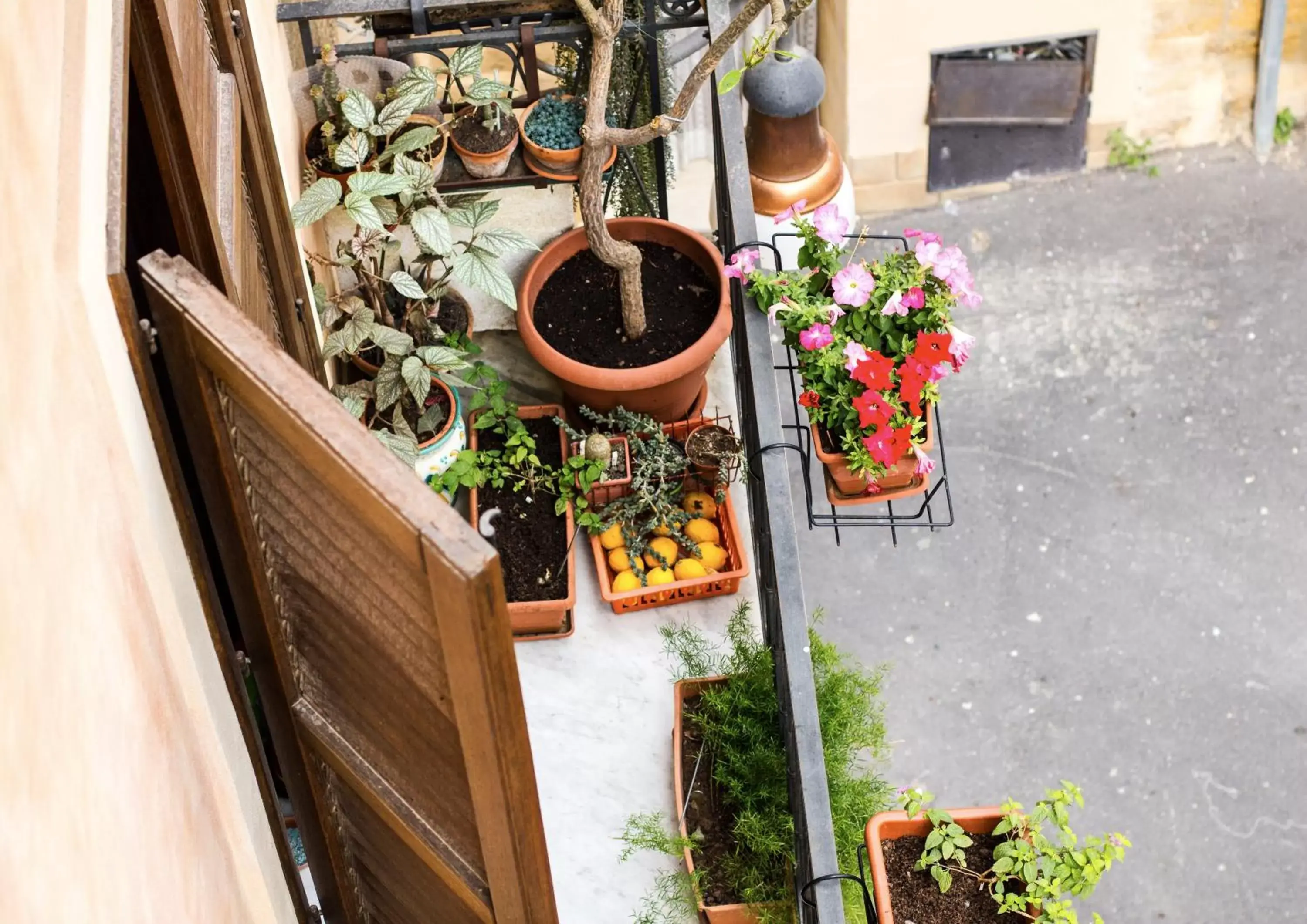 Quiet street view in B&B Porta Bagni