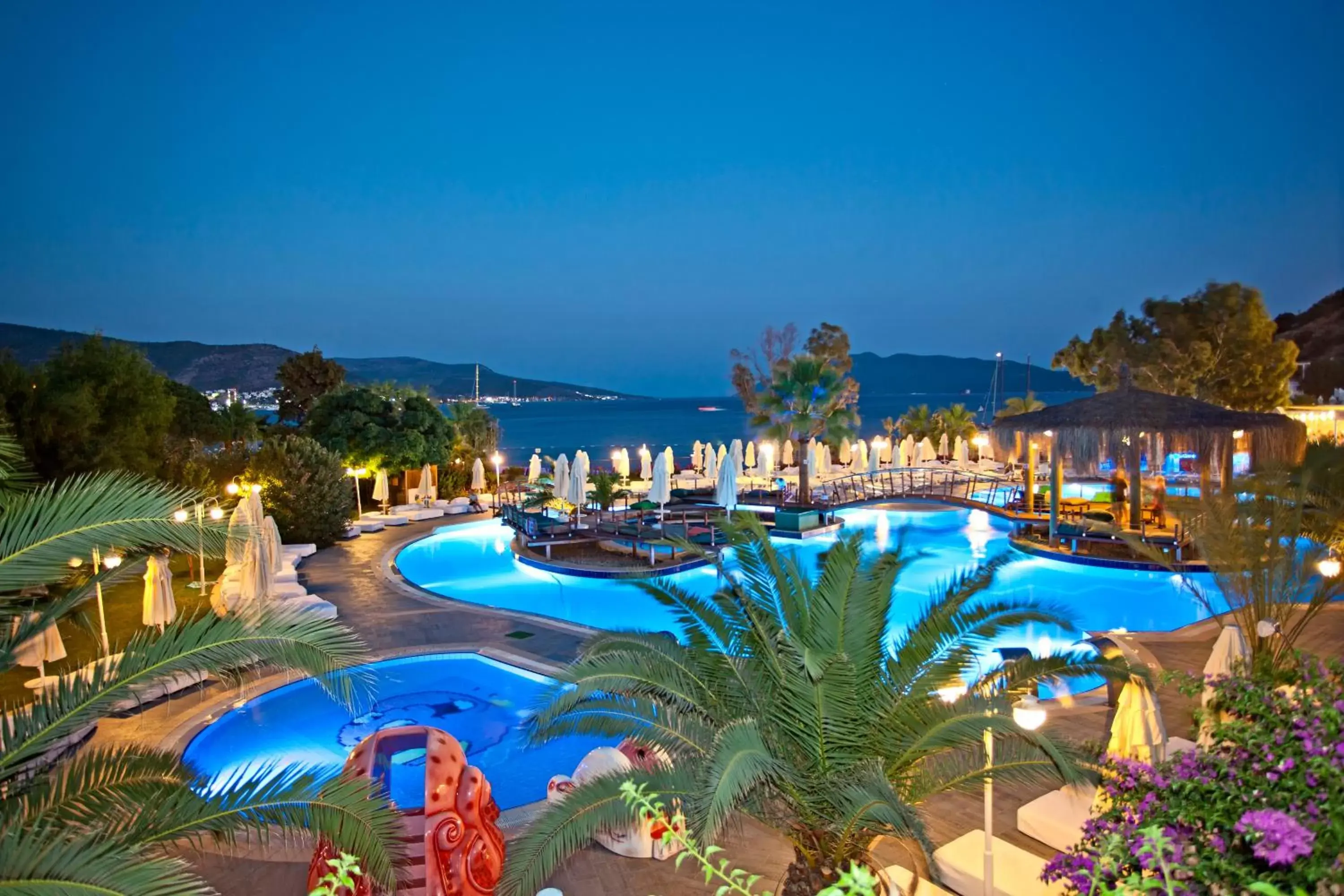 Night, Pool View in Salmakis Resort & Spa