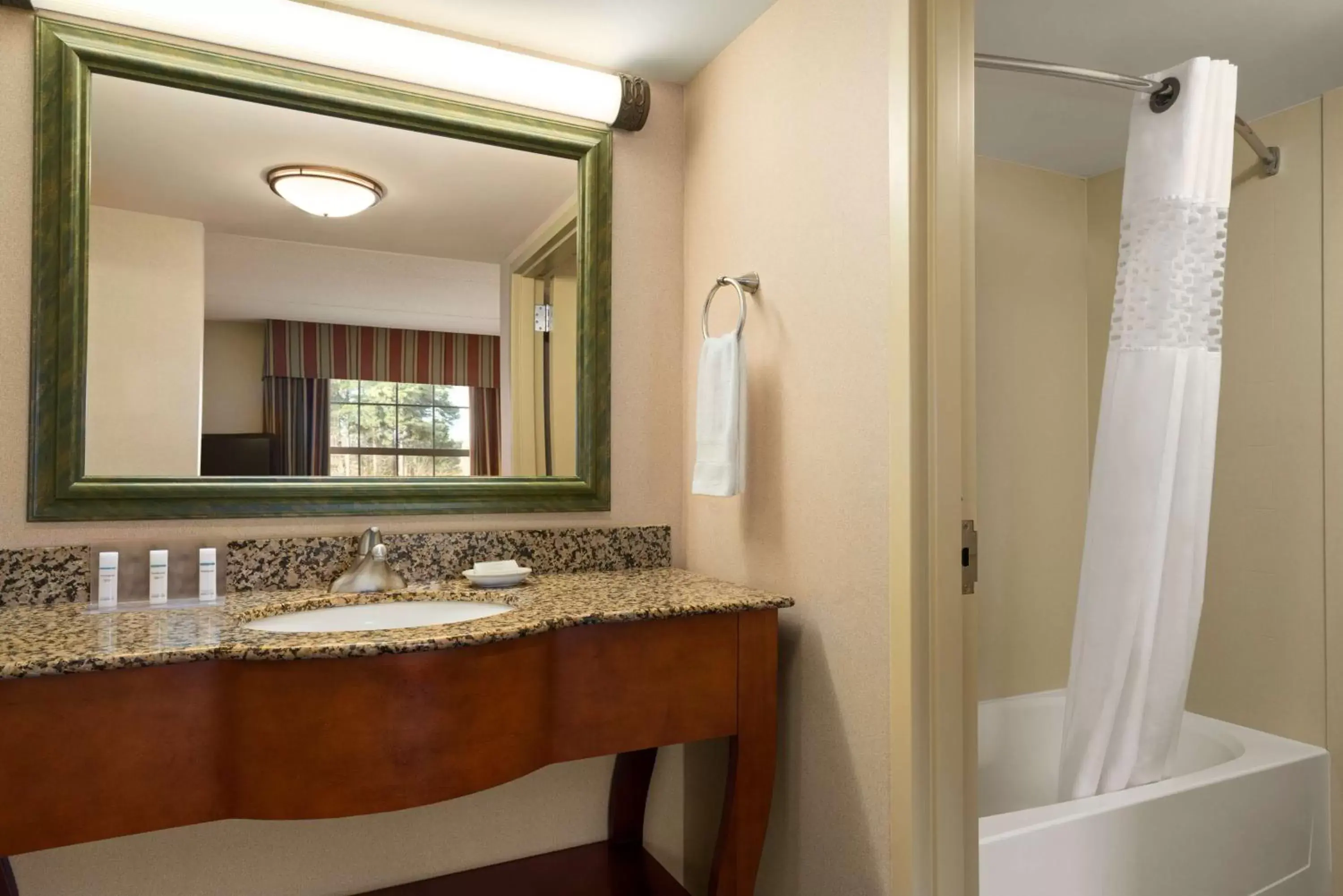 Bathroom in Hampton Inn & Suites Williamsburg-Central