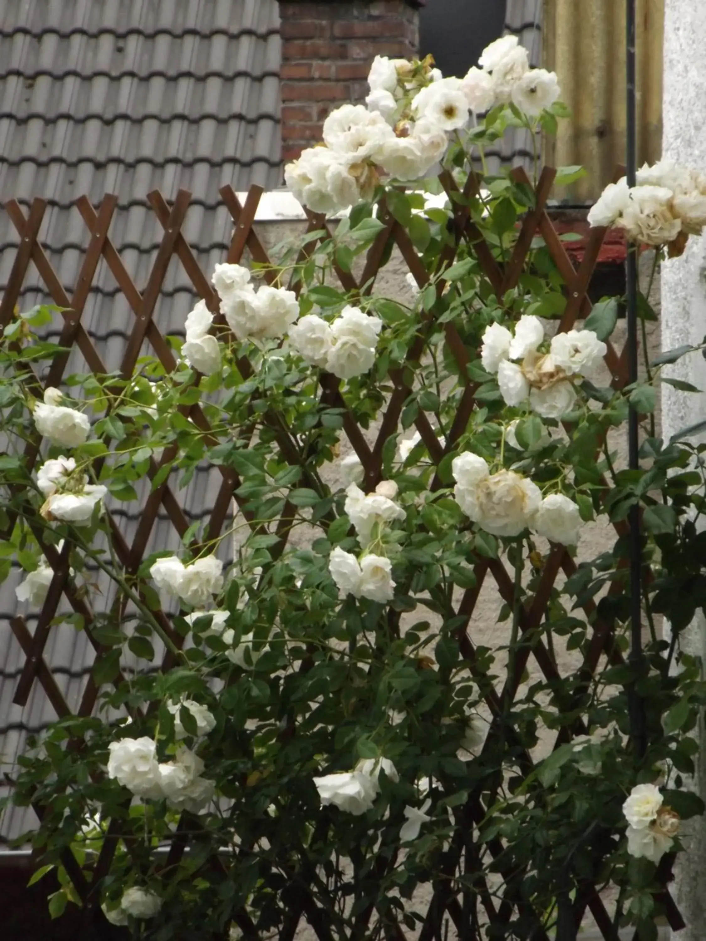 Balcony/Terrace in Zum Achten Himmel