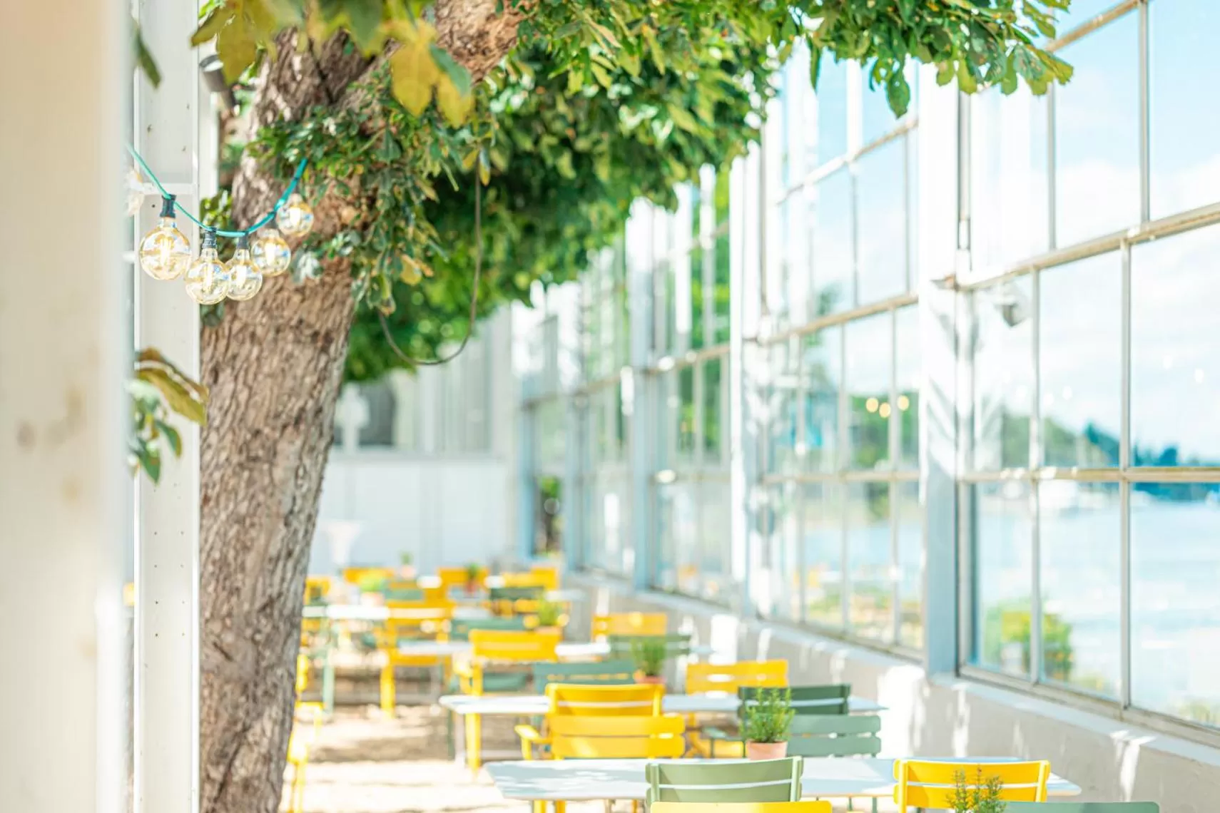 Restaurant/places to eat in Rheinhotel Dreesen