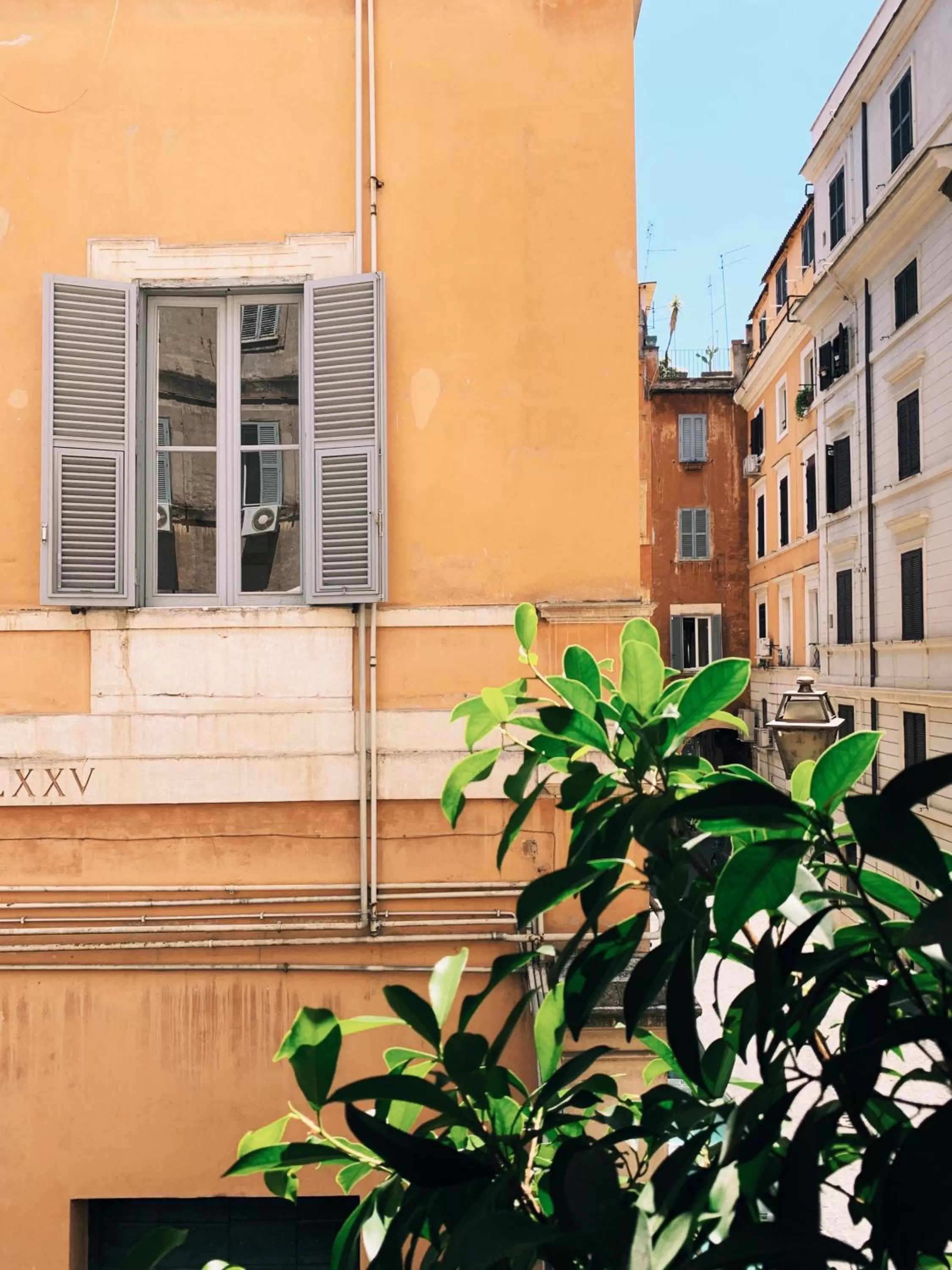 Property building in Little Queen Suite