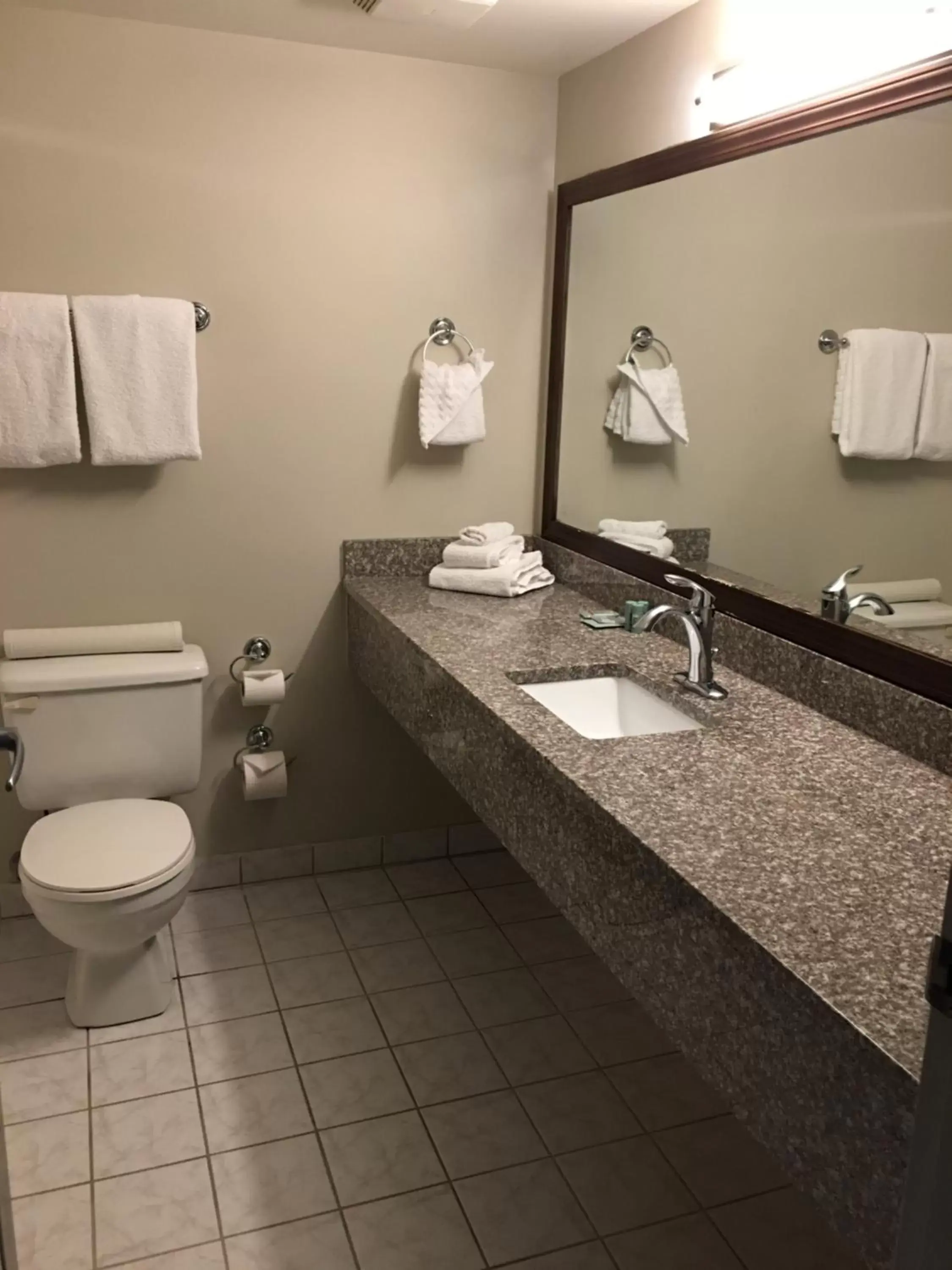 Toilet, Bathroom in Best Western Mountainview Inn