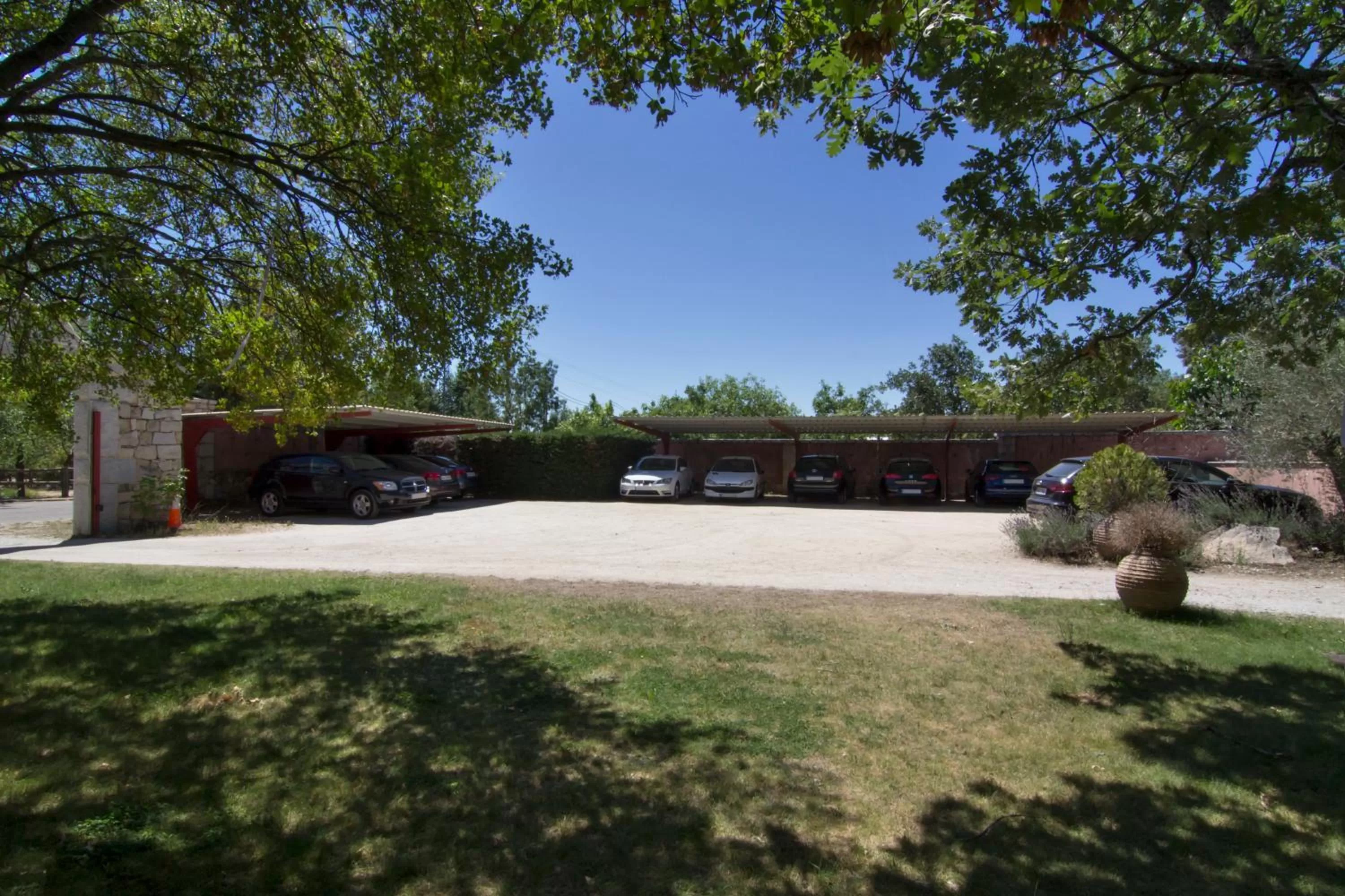 Area and facilities in Hotel Sara De Ur