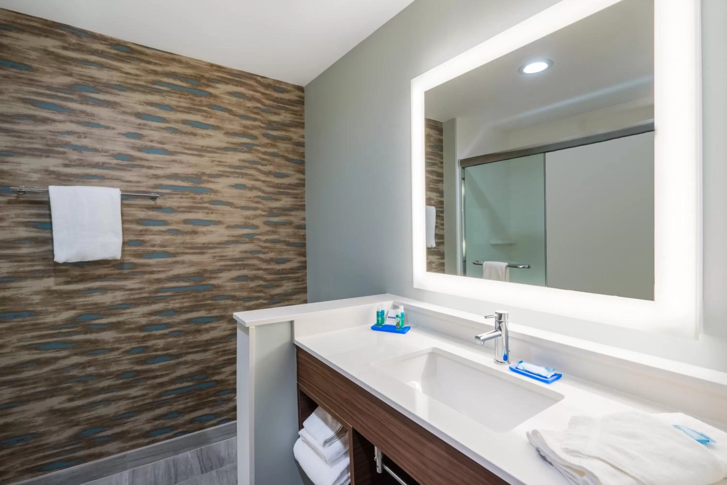 Bathroom in Holiday Inn Express & Suites Greenville SE - Simpsonville by IHG