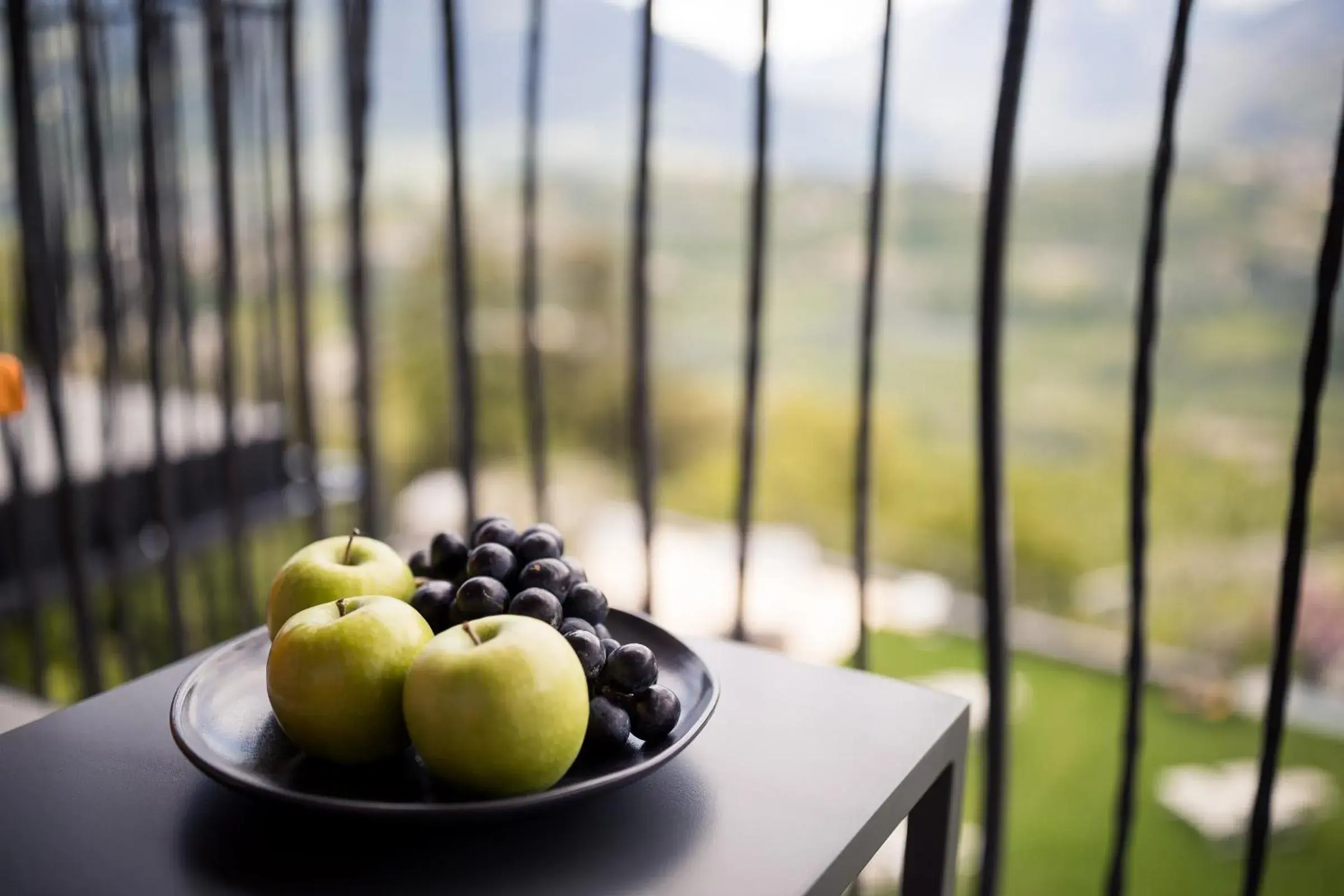 Garden view in Hotel Der Weinmesser