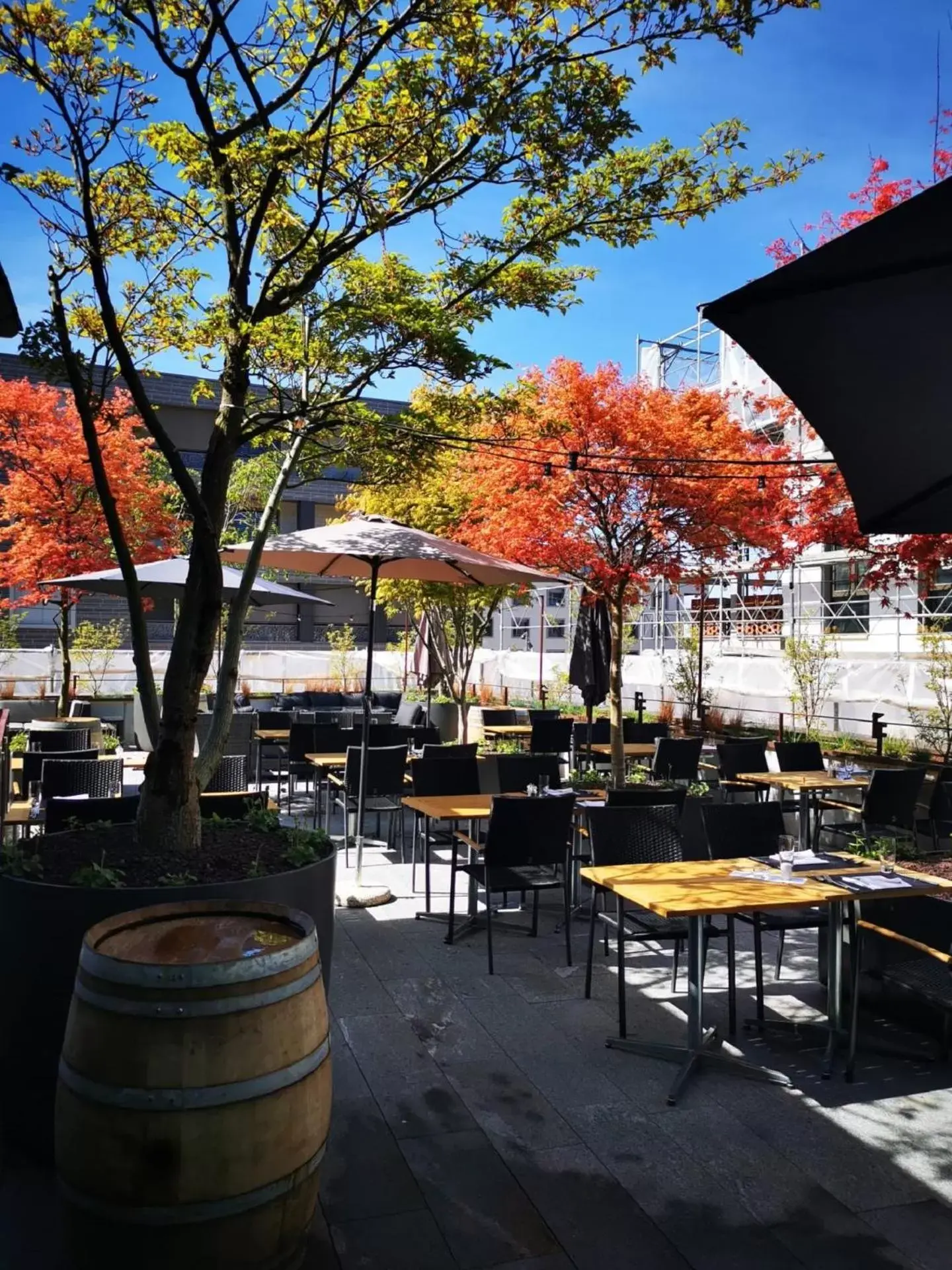 Restaurant/places to eat in Landgasthof Leuen Restaurant/places to eat in Landgasthof Leuen