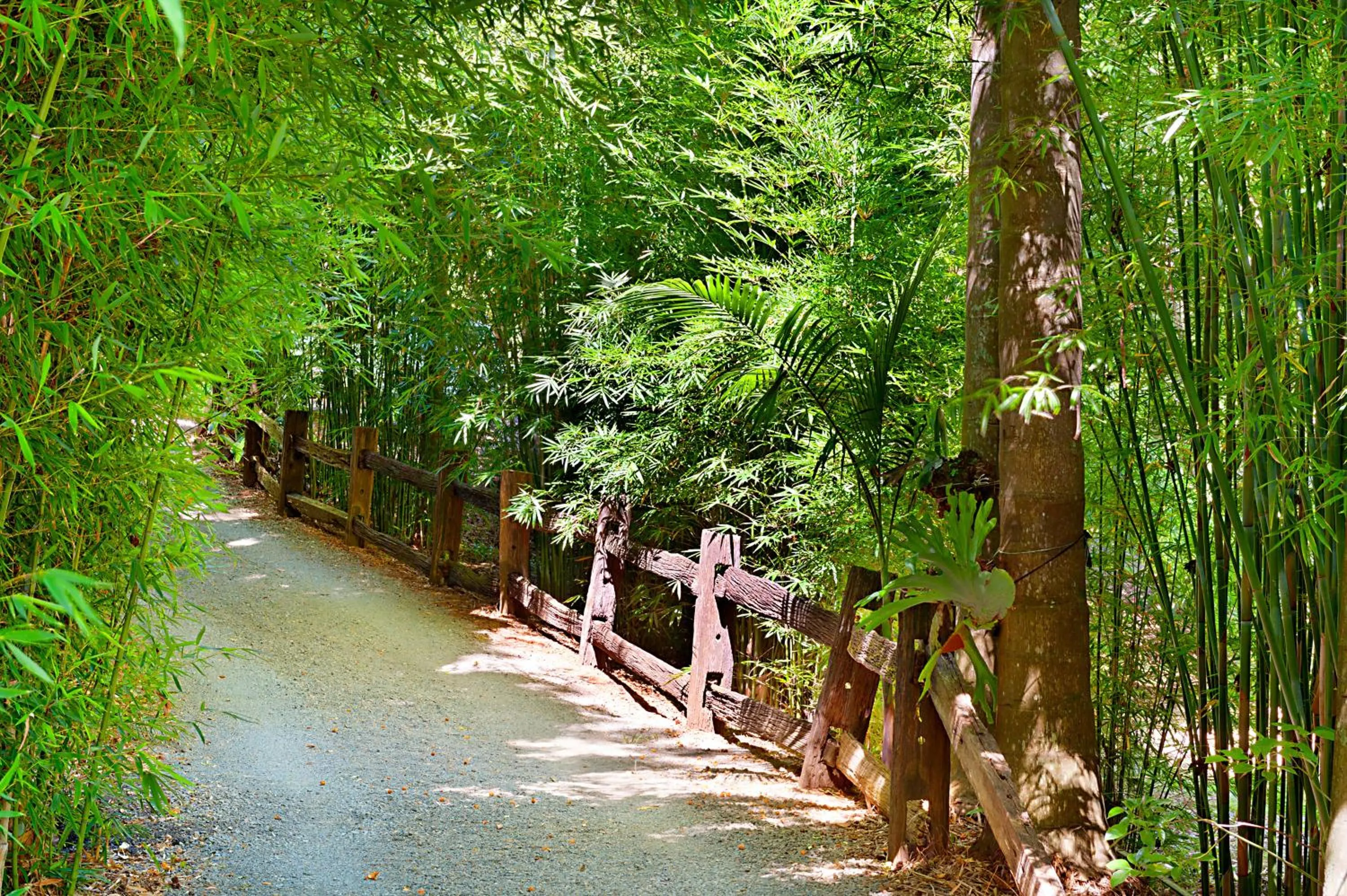 Garden in Escarpment Retreat & Day Spa for Couples