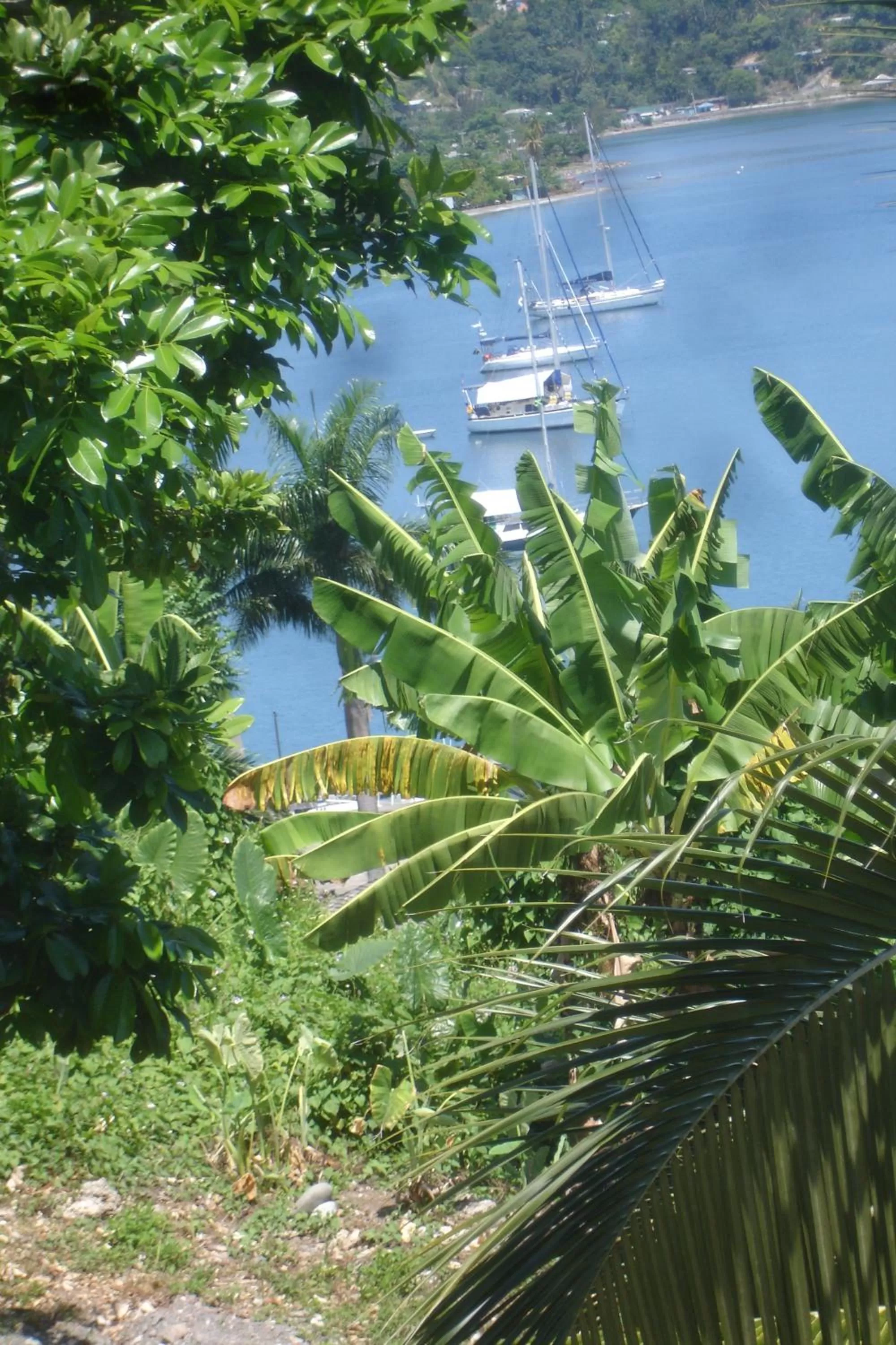 Garden in Finjam Cottage