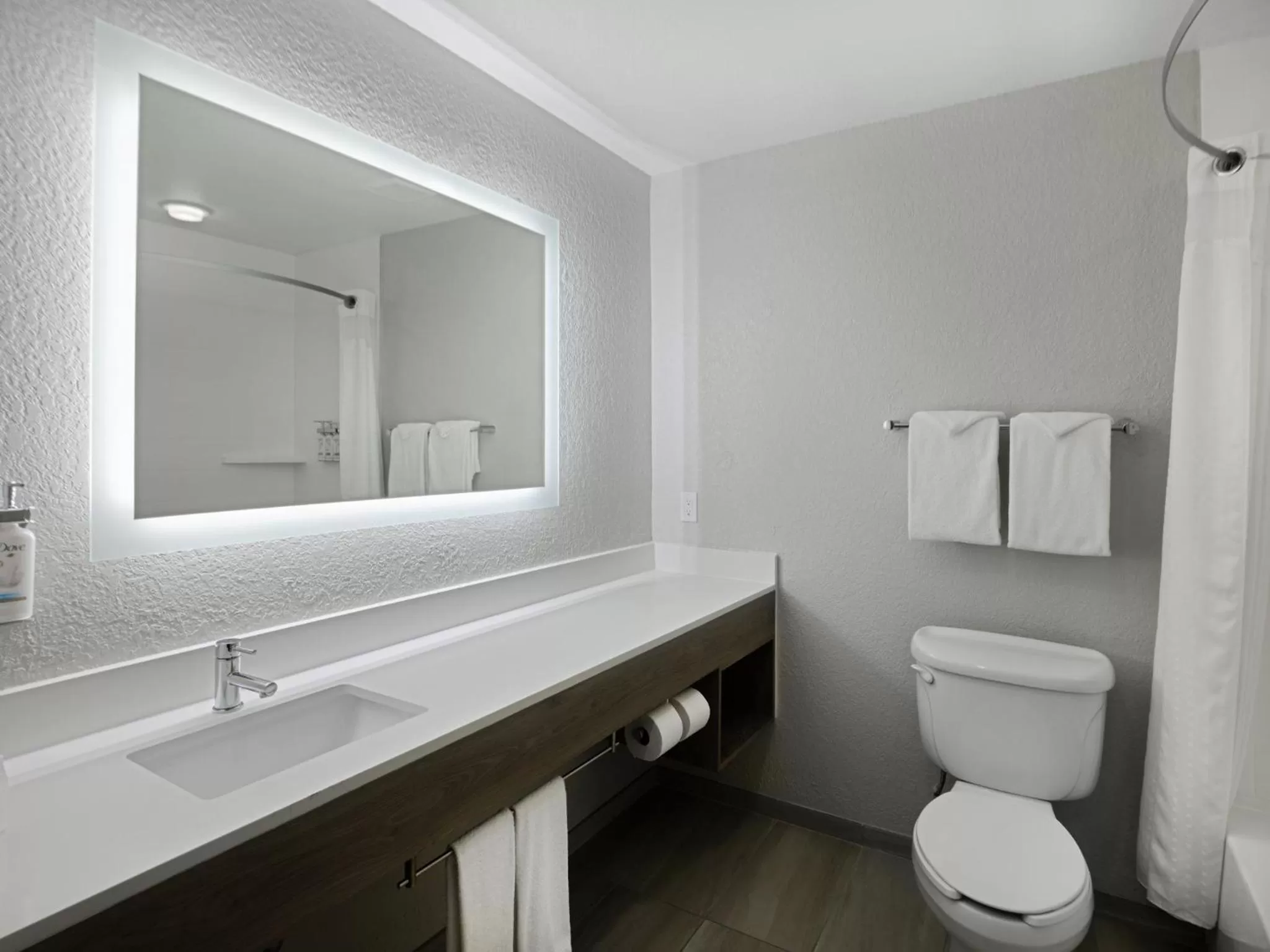 Bathroom in Holiday Inn Express & Suites Lakeland North I-4 by IHG