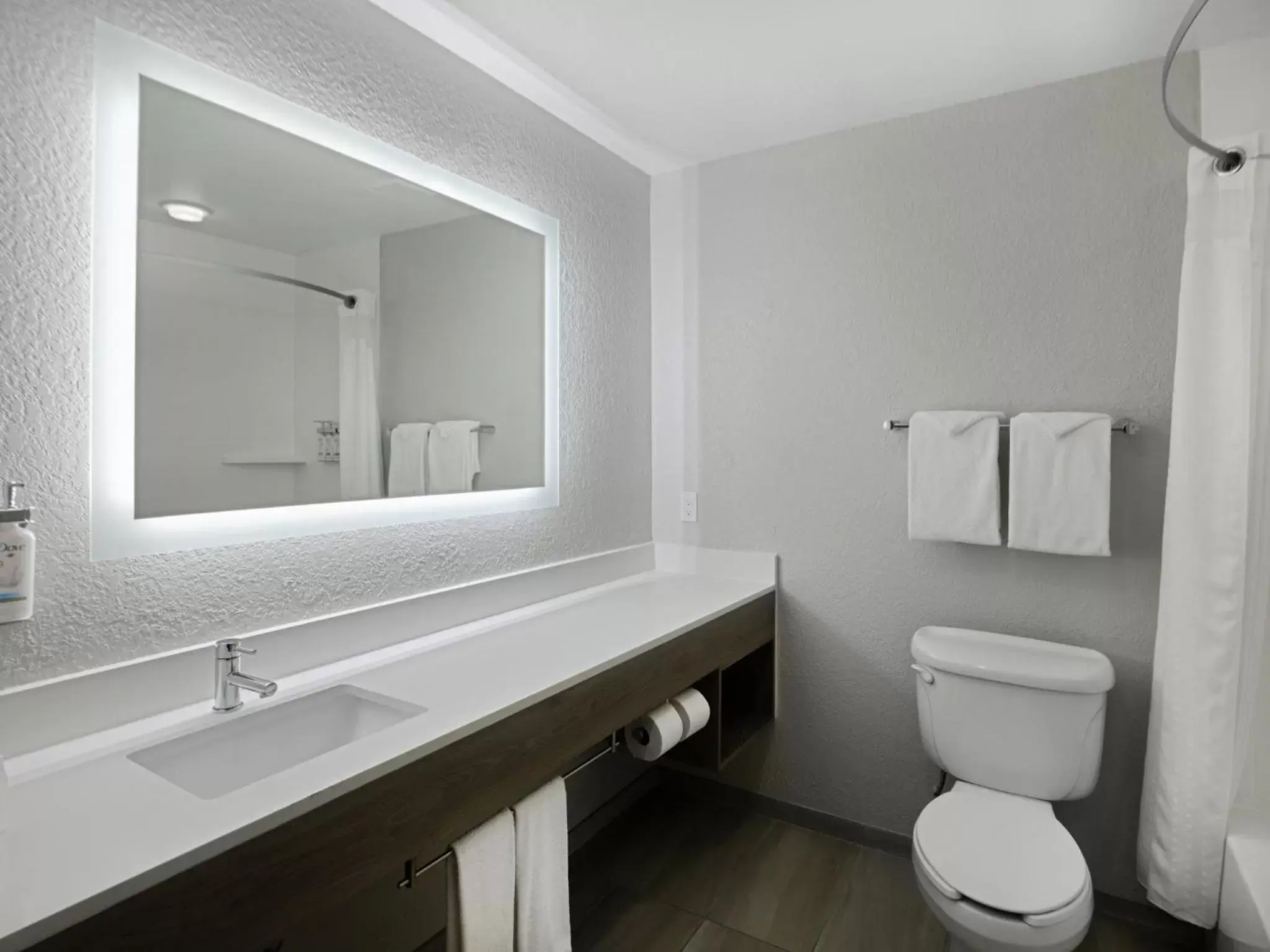 Bathroom in Holiday Inn Express & Suites Lakeland North I-4, an IHG Hotel