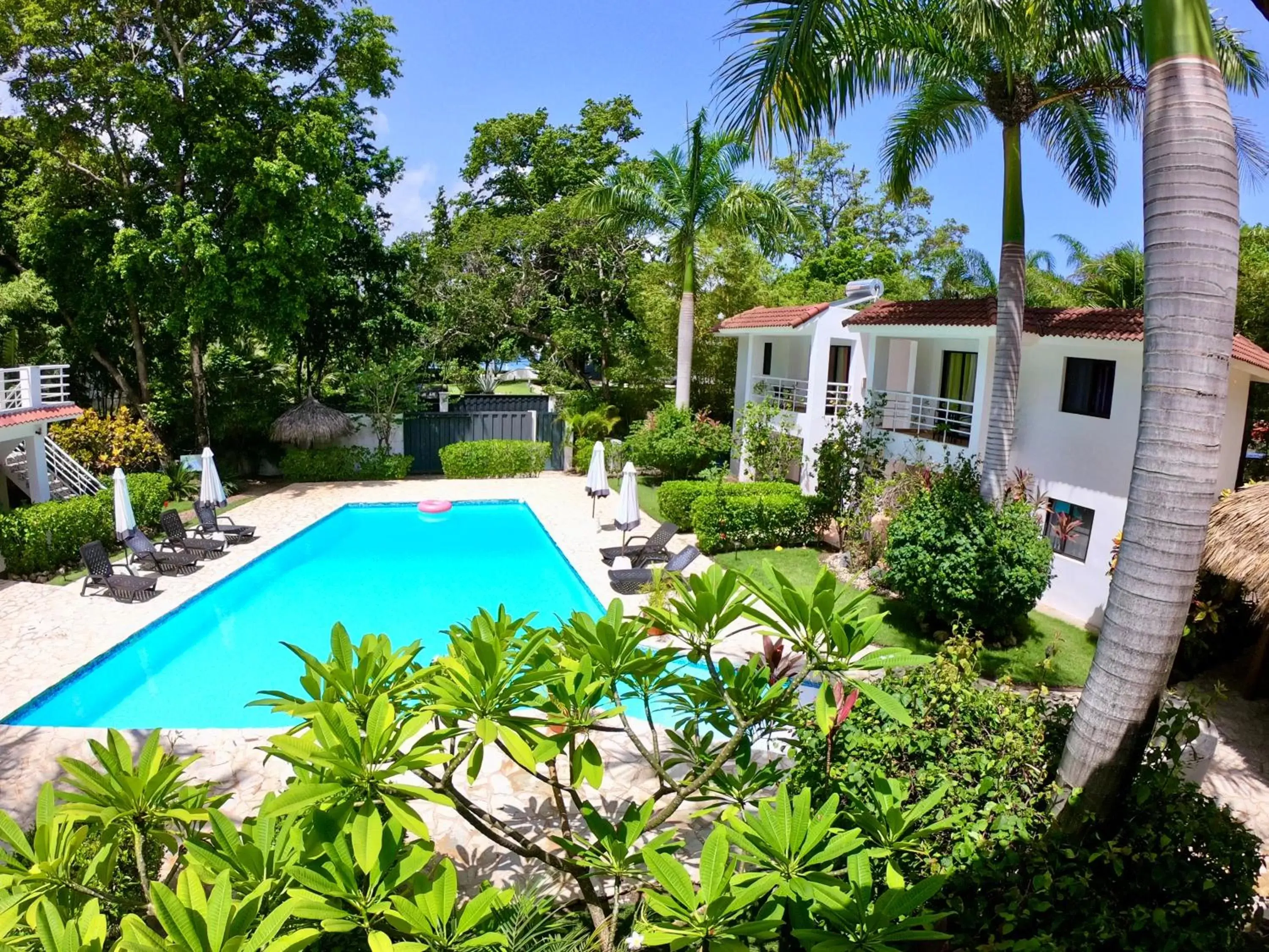Garden, Swimming Pool in Coral Blanco Hotel